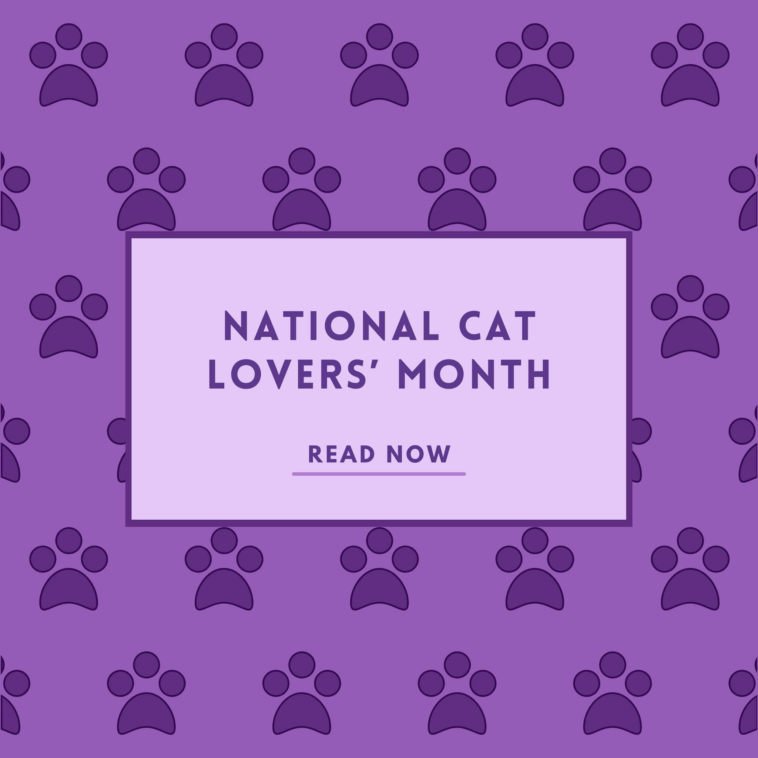 National Cat Lovers’ Month