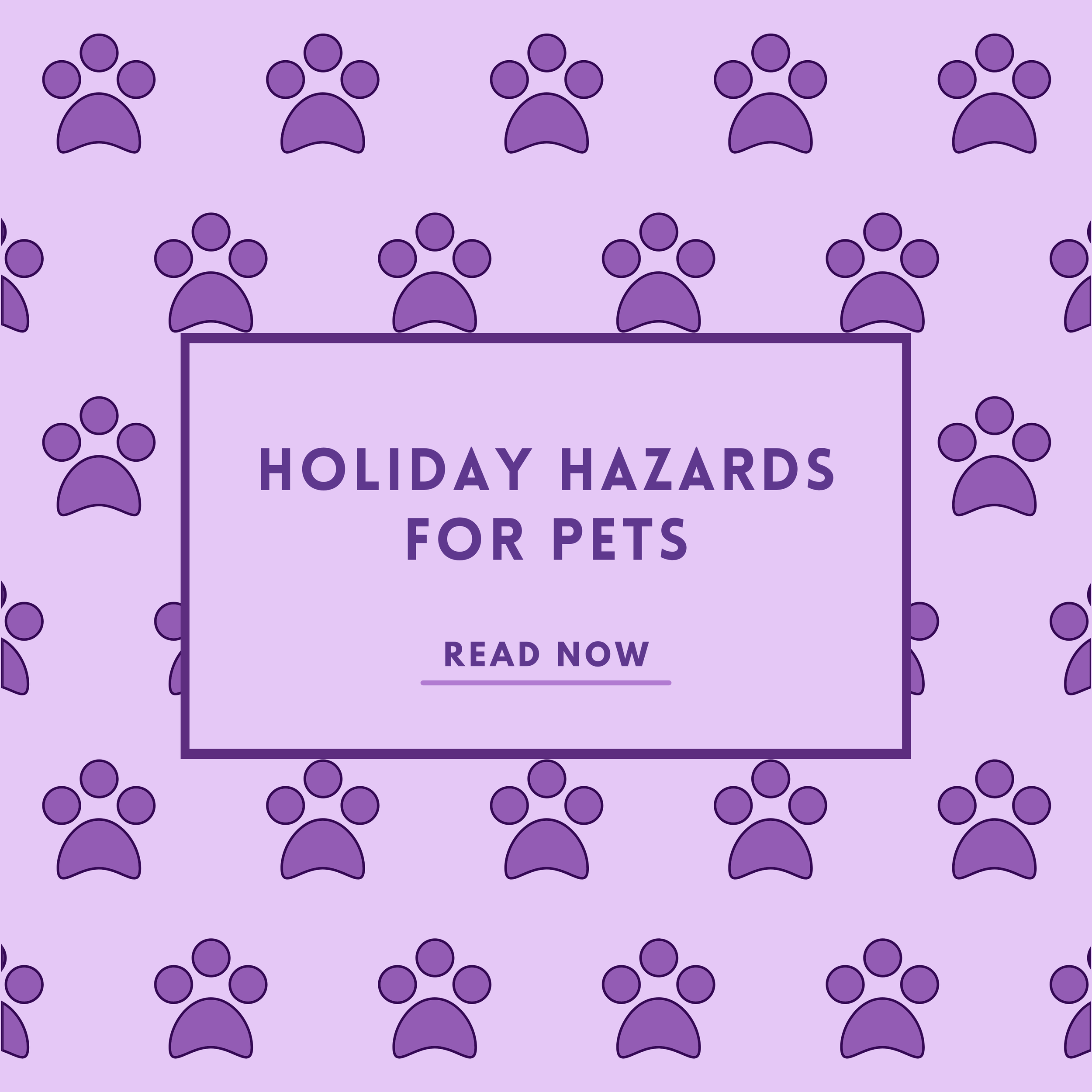 Holiday Hazards For Pets
