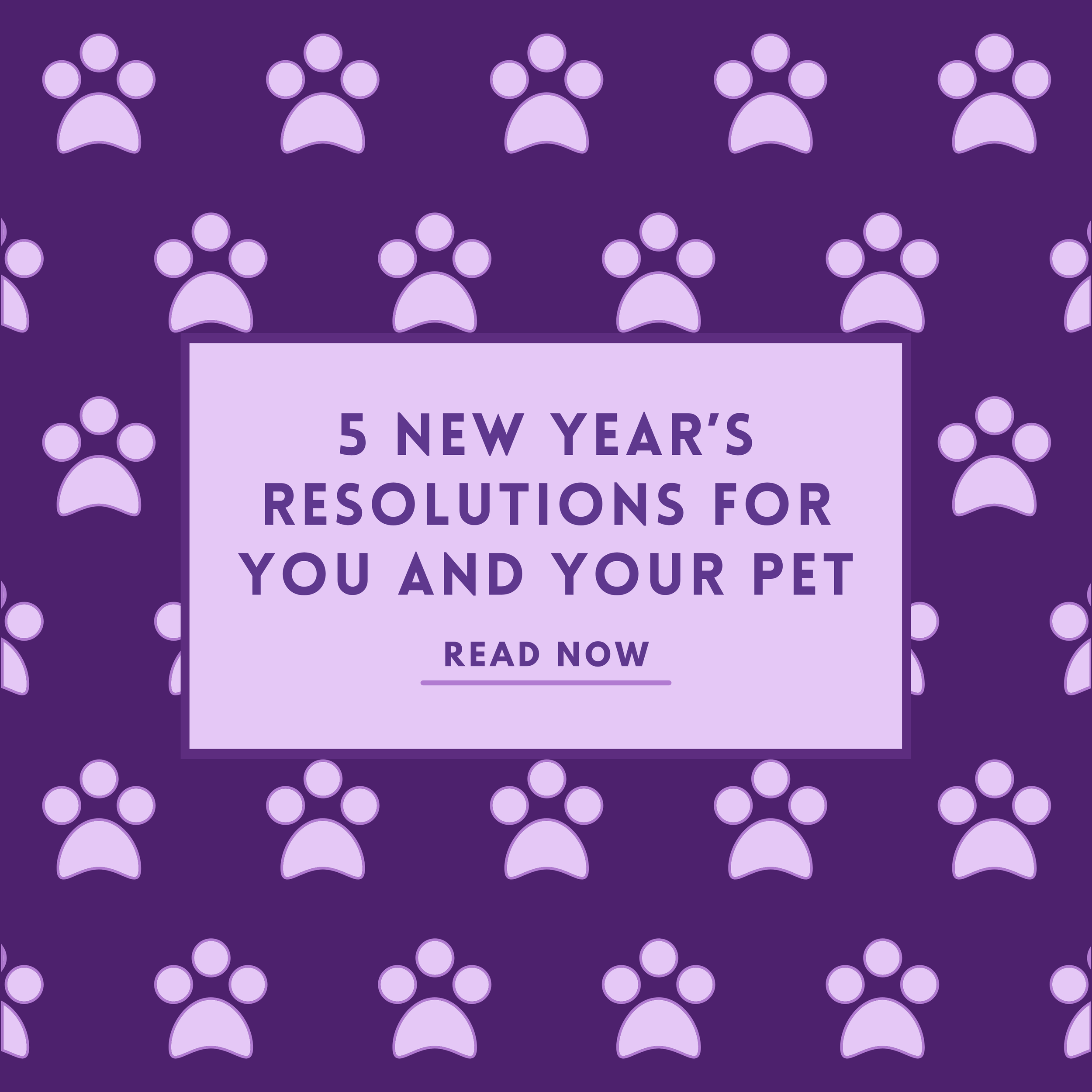 New Year’s Resolutions