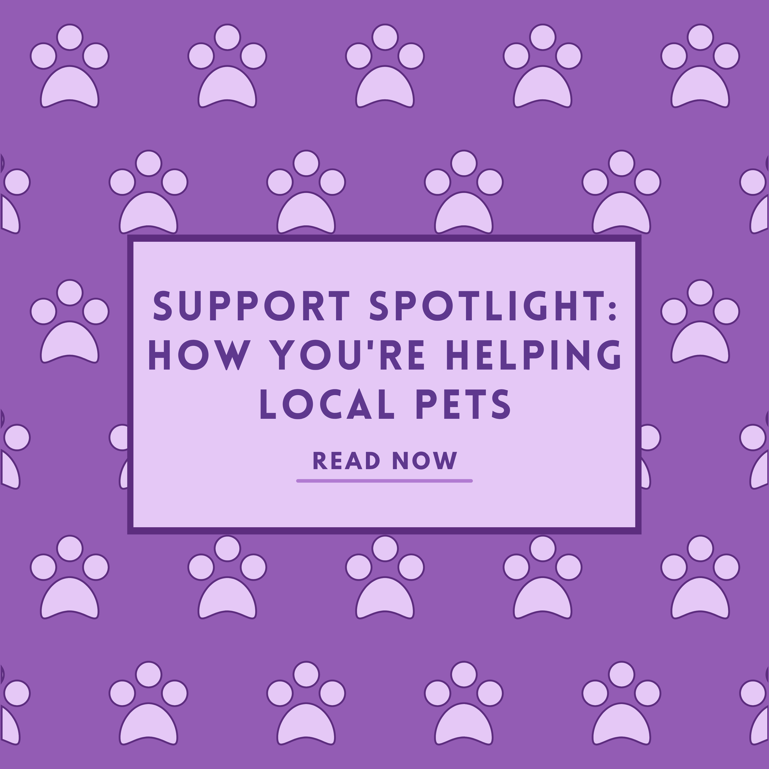 Support Spotlight: How You're Helping Local Pets