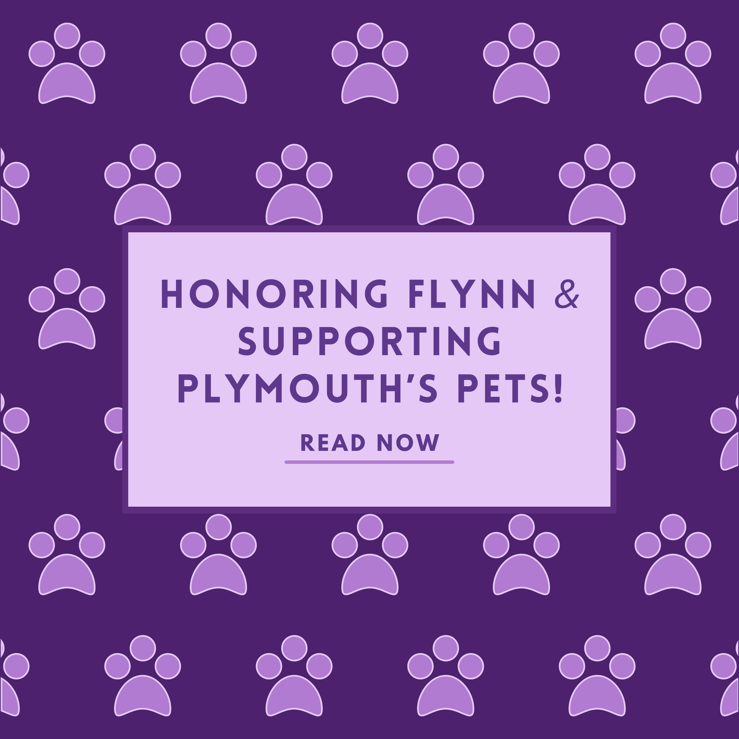 Honoring Flynn &amp; Supporting Plymouth’s Pets!