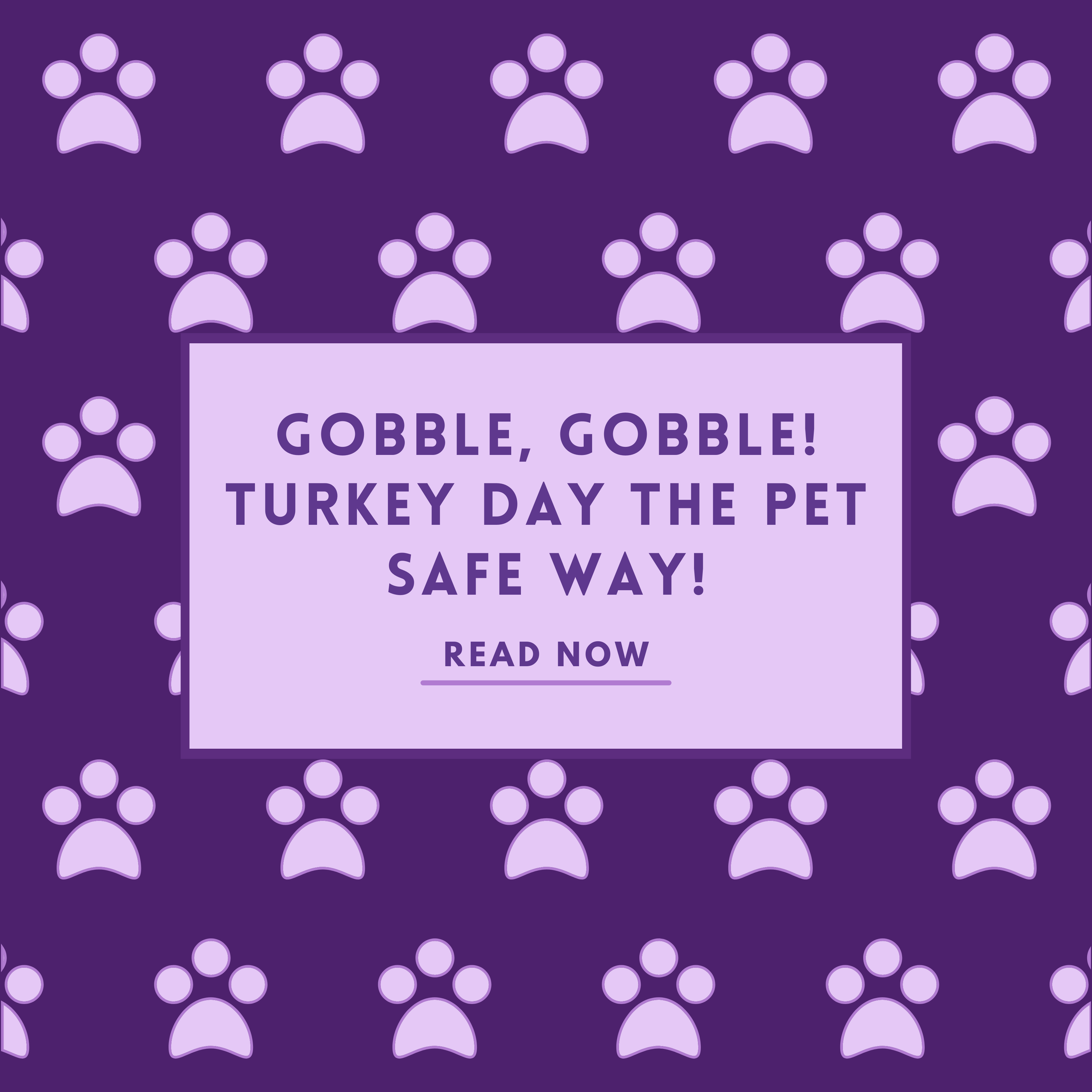Gobble, Gobble!                        Turkey Day The Pet Safe Way!