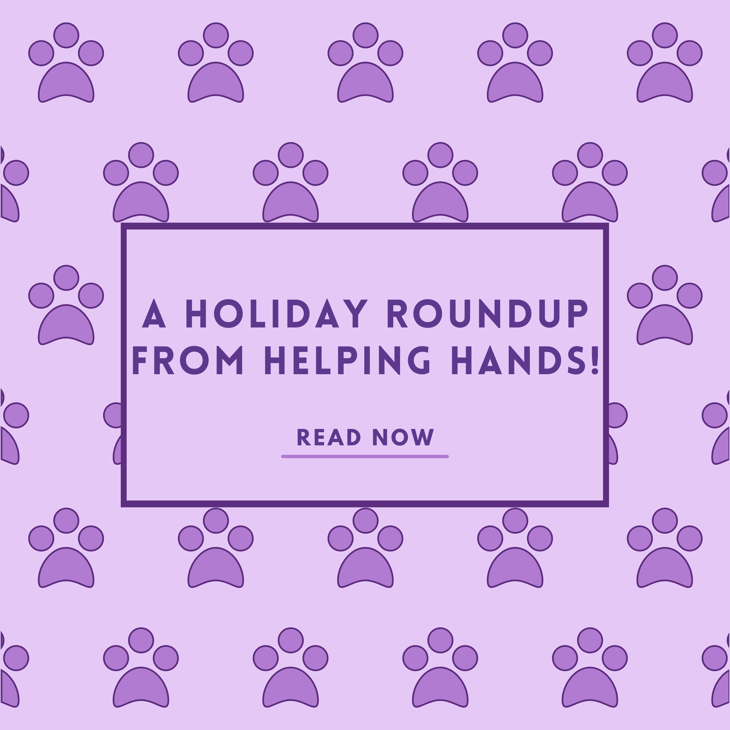 A Holiday Roundup From Helping Hands!