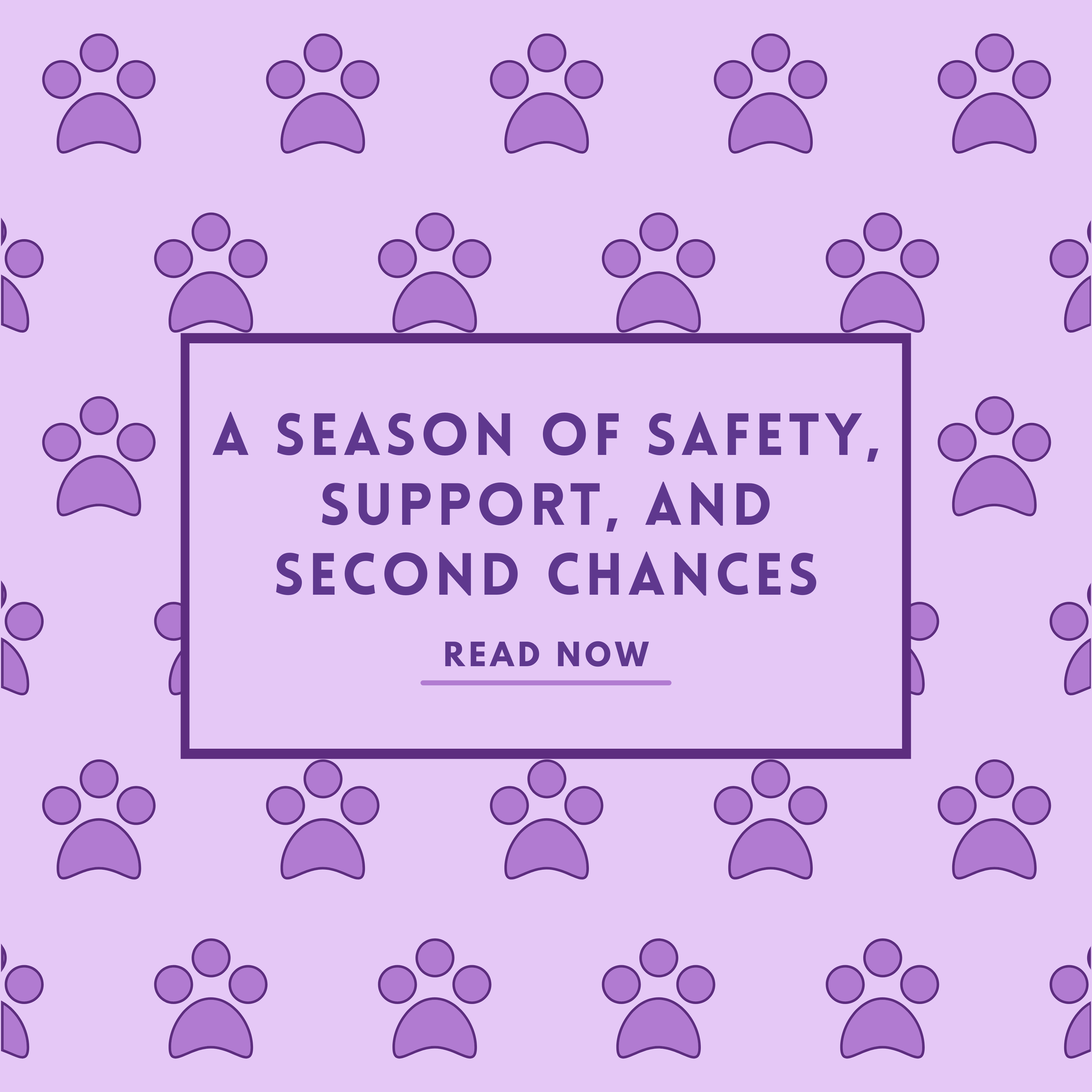 A Season of Safety, Support, and Second Chances