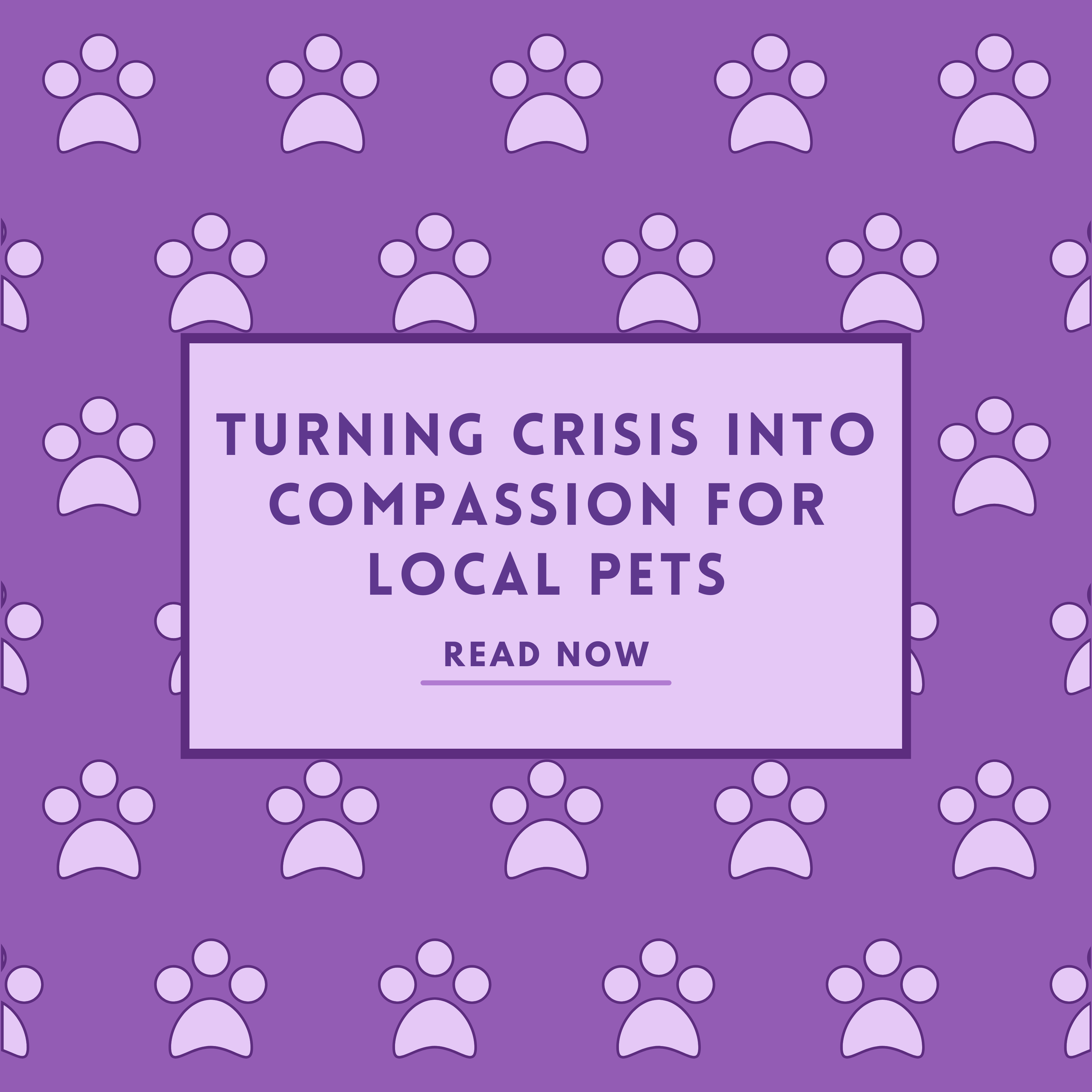 Turning Crisis Into Compassion&nbsp;For Local Pets