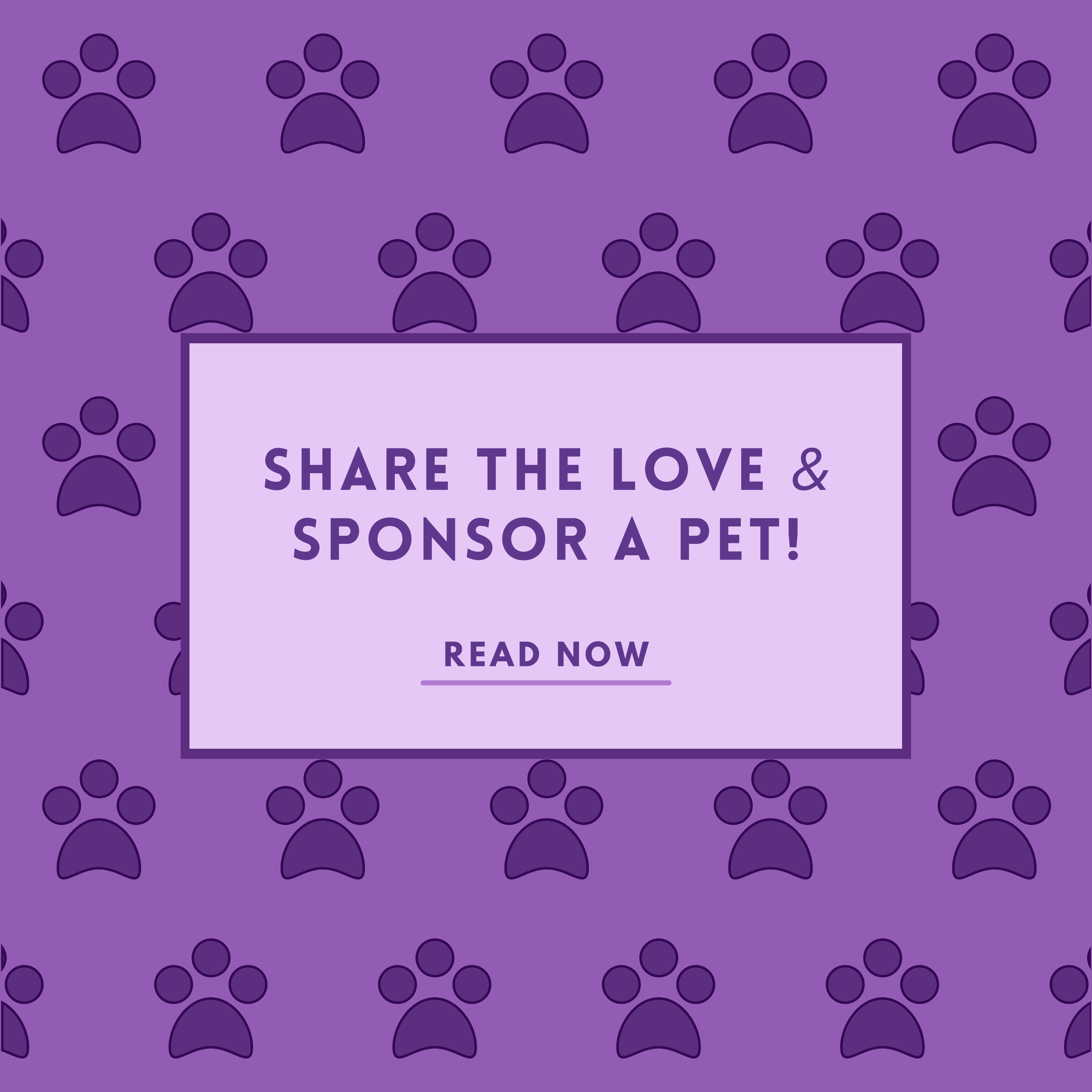 Share The Love: Sponsor A Pet In Need