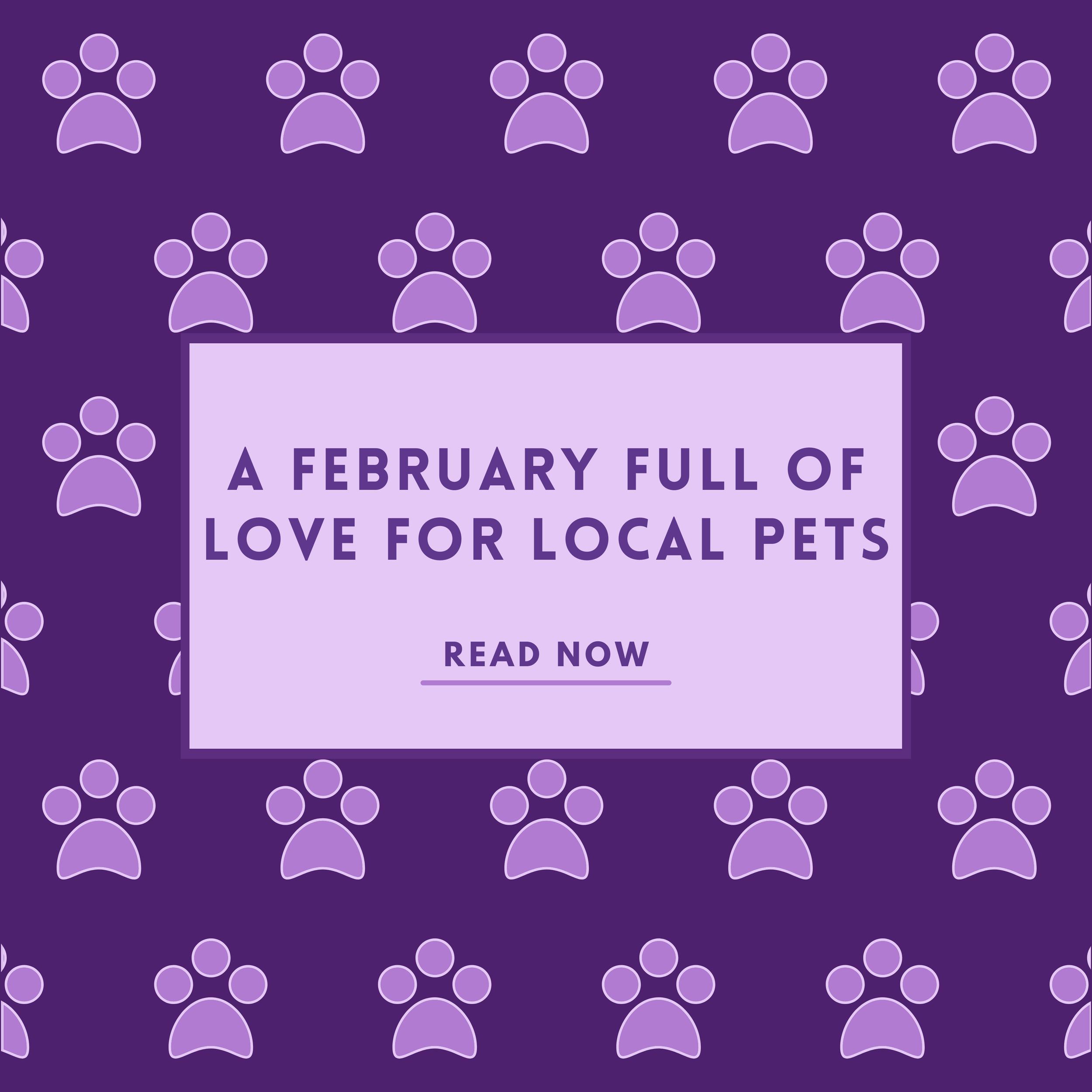 A February Full Of Love For Local Pets