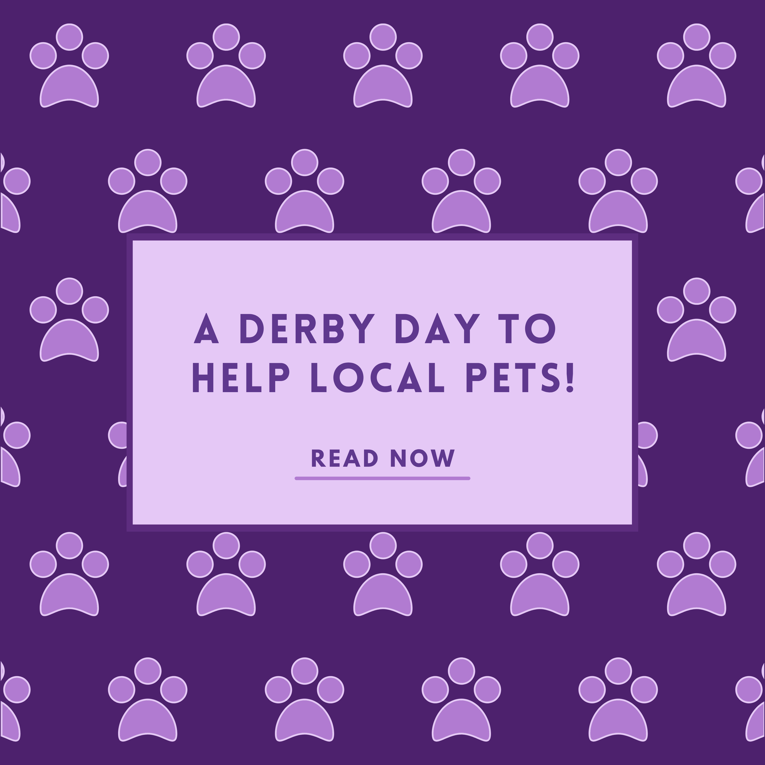 A Derby Day To Help Local Pets!