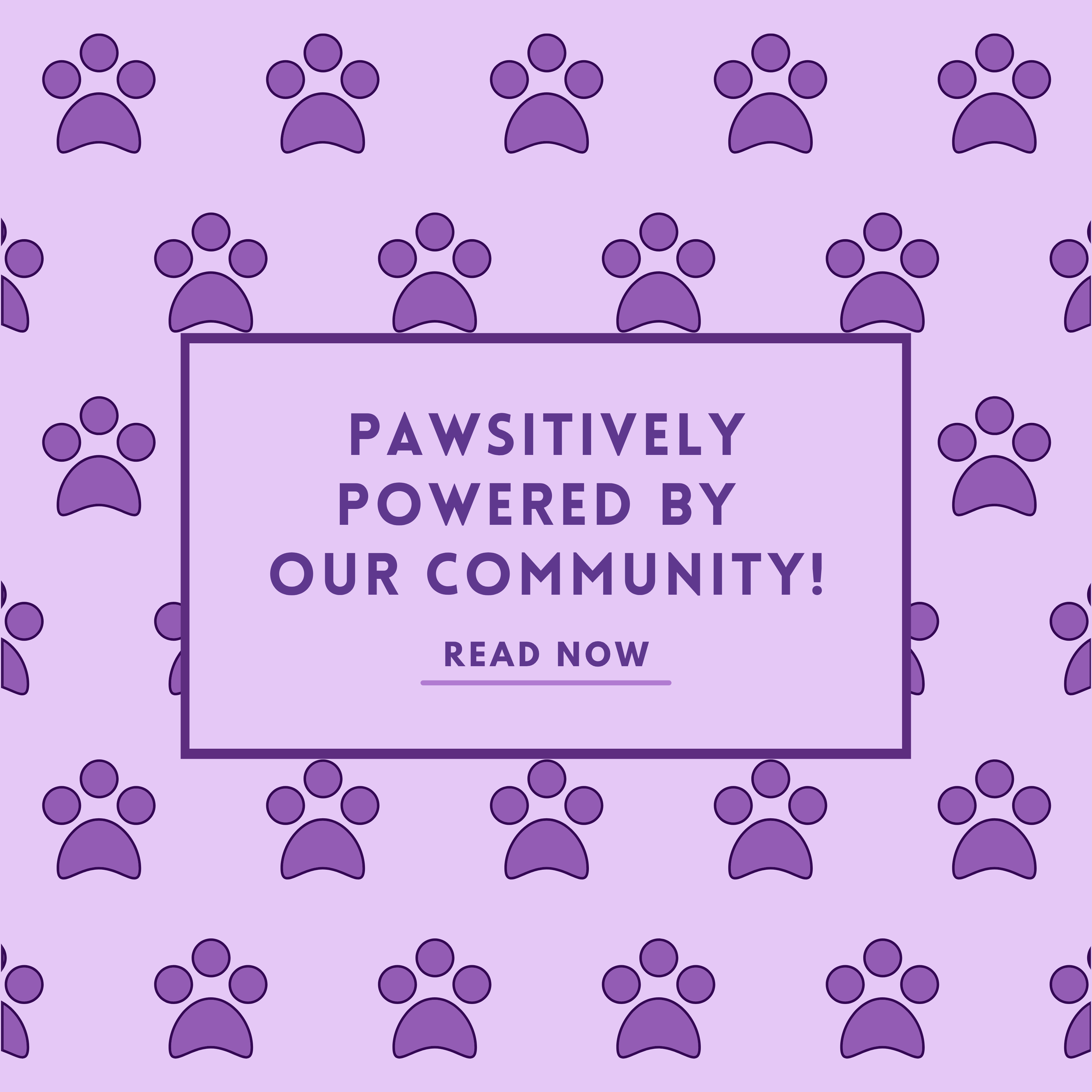 Pawsitively Powered By&nbsp;Our Community!