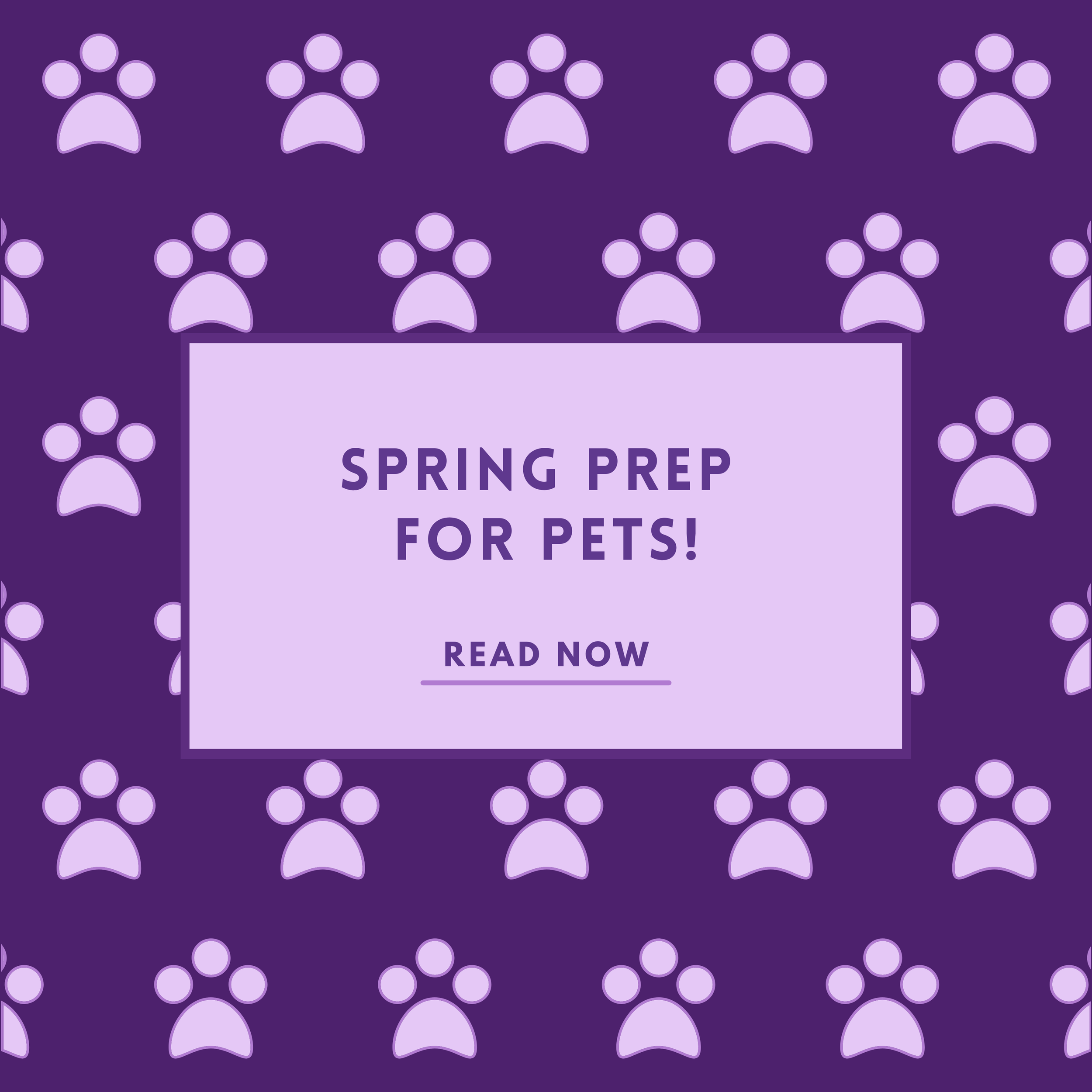 Spring Prep For Pets!