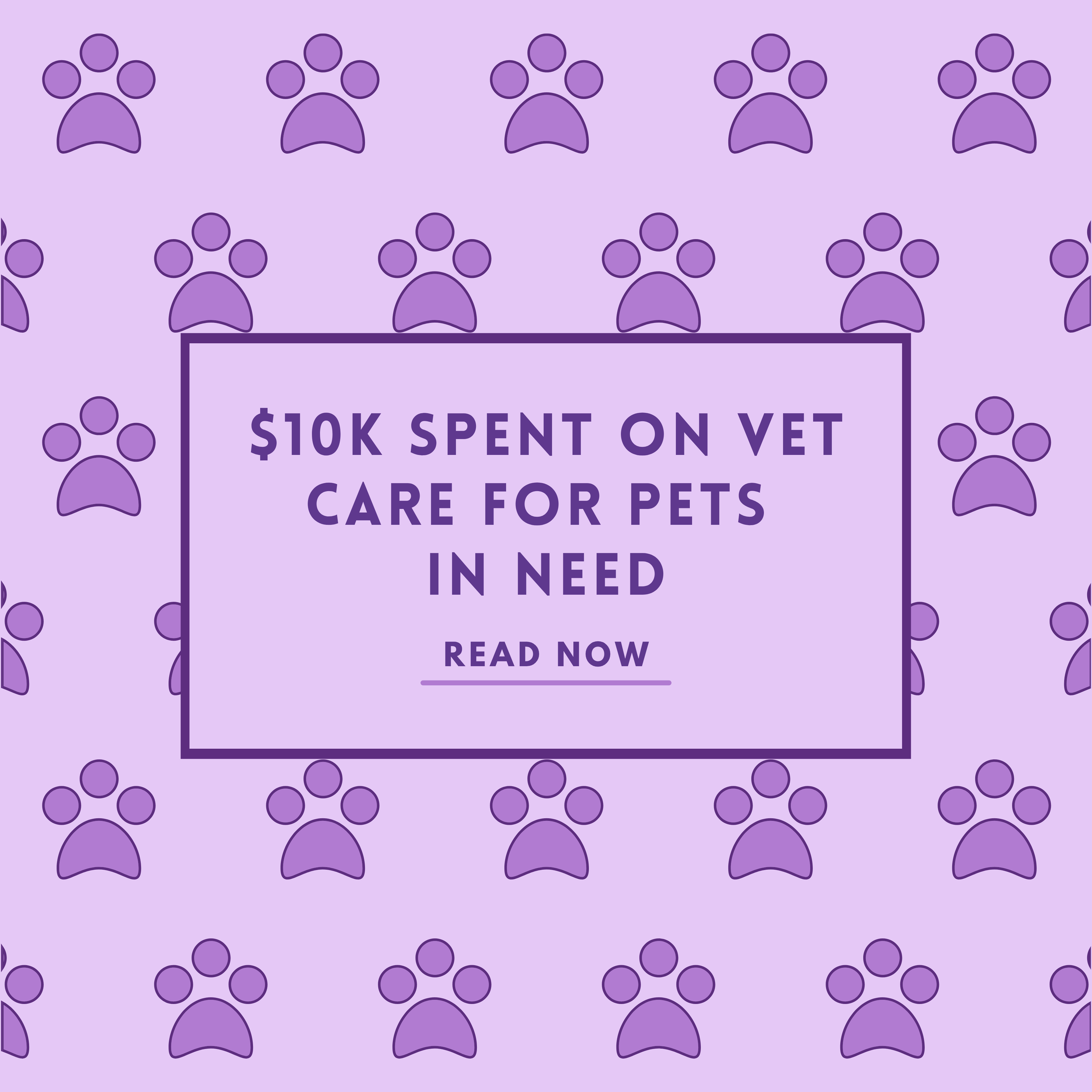 $10k Spent On Vet Care For Pets In Need