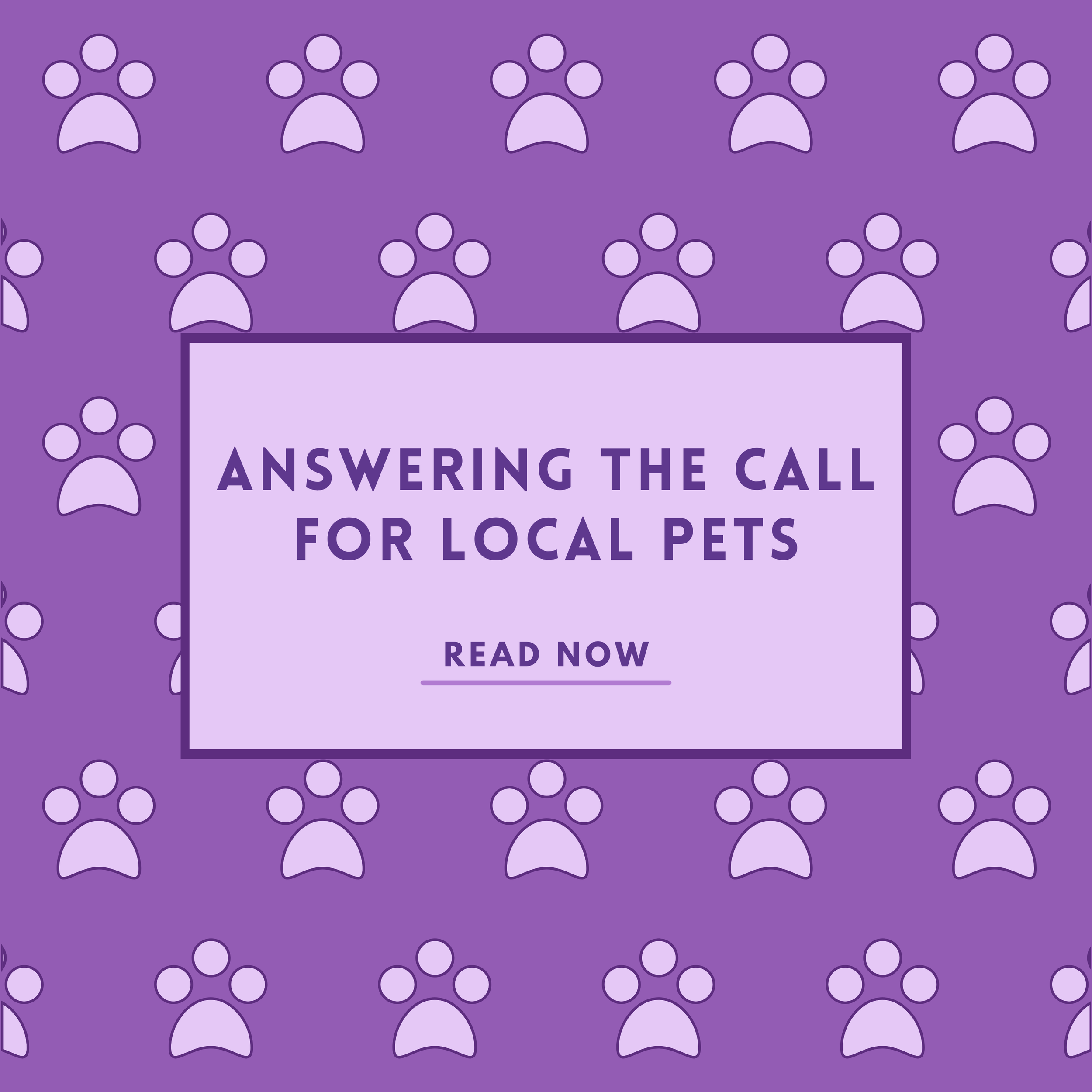 Answering The Call For Local Pets In Need