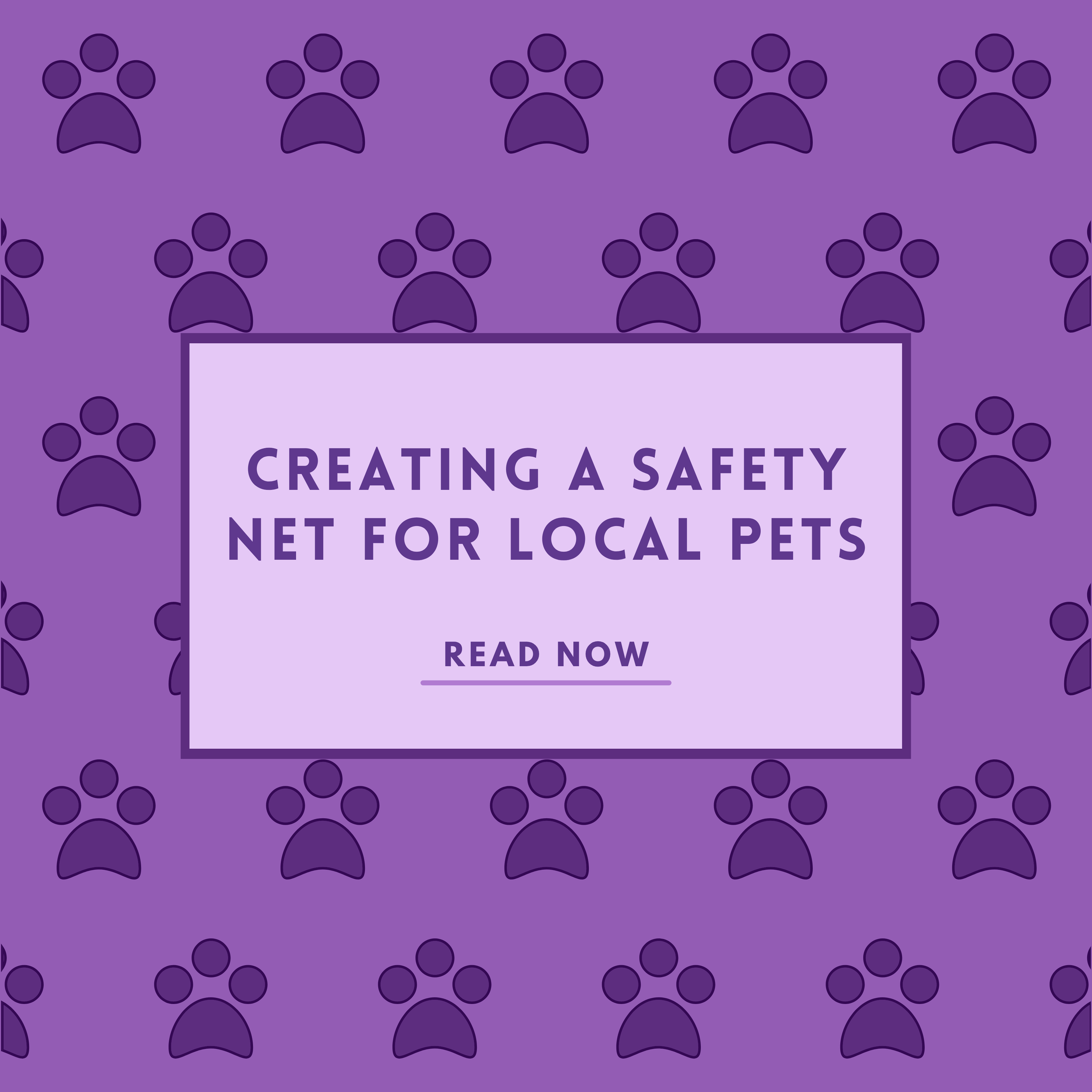 Creating A Safety Net For Local Pets