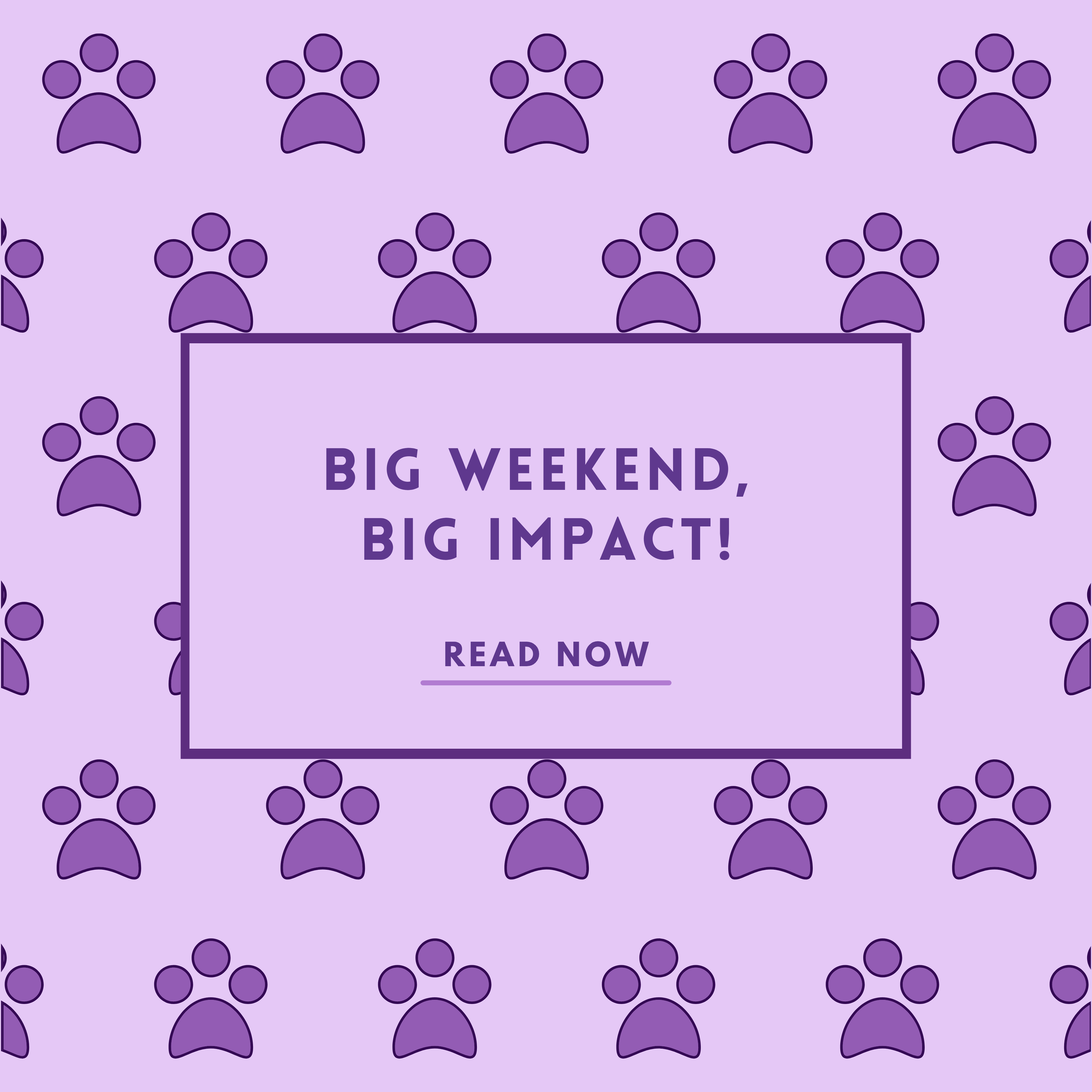 Big Weekend, Big Impact!