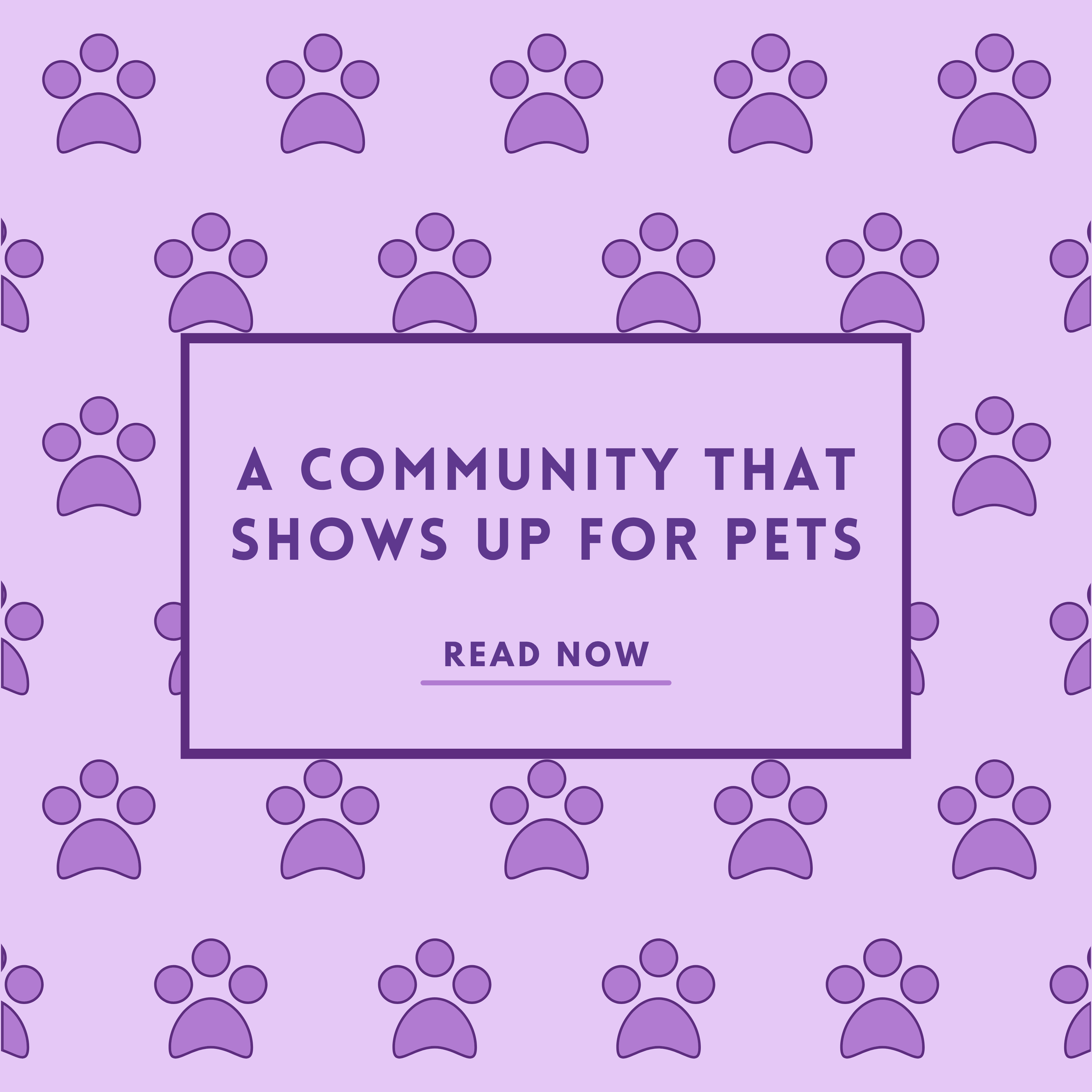 A Community That Shows Up For Pets
