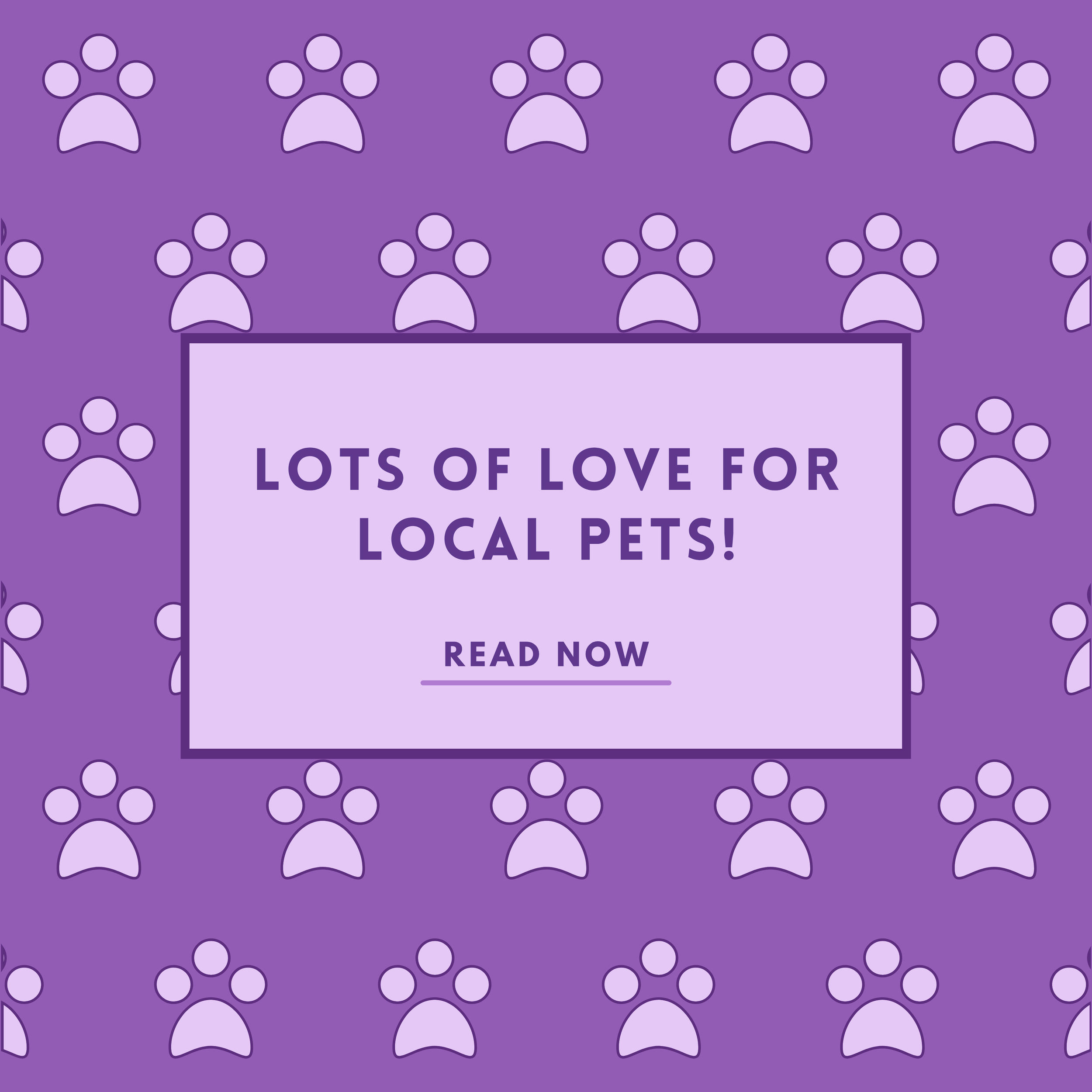 Lots Of Love For Local Pets!