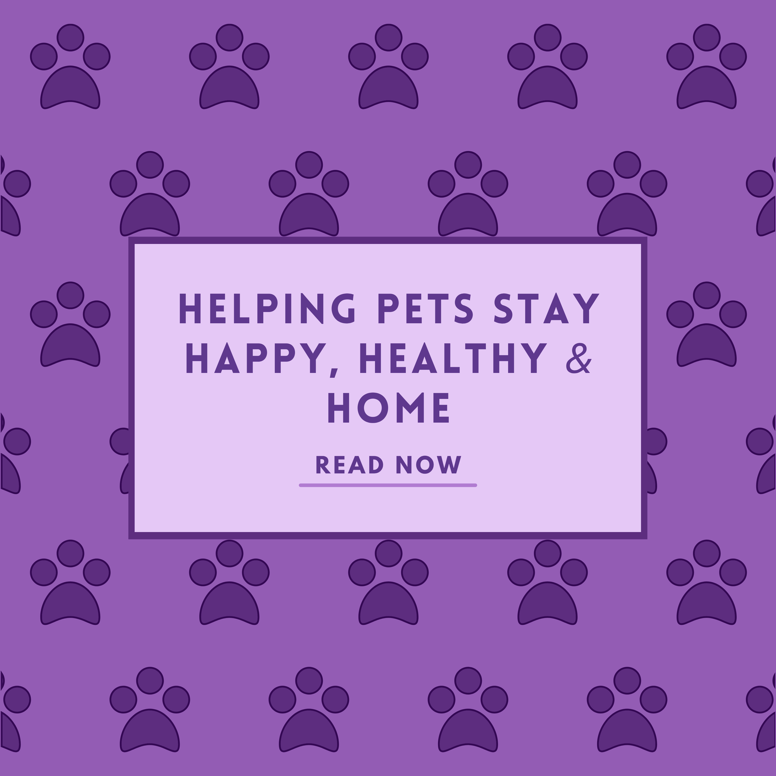 Helping Pets Stay Happy, Healthy &amp; Home