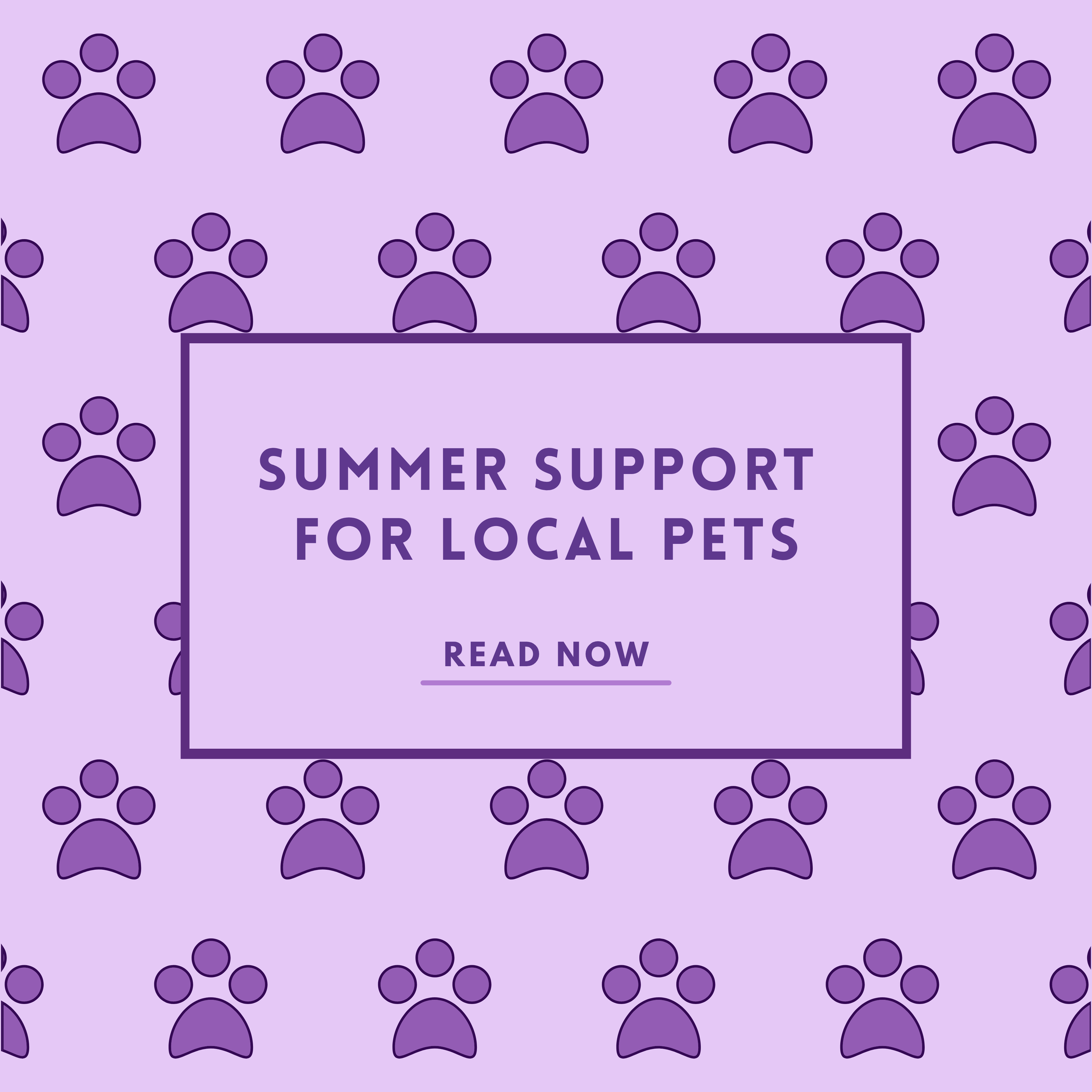 Summer Support For Local Pets