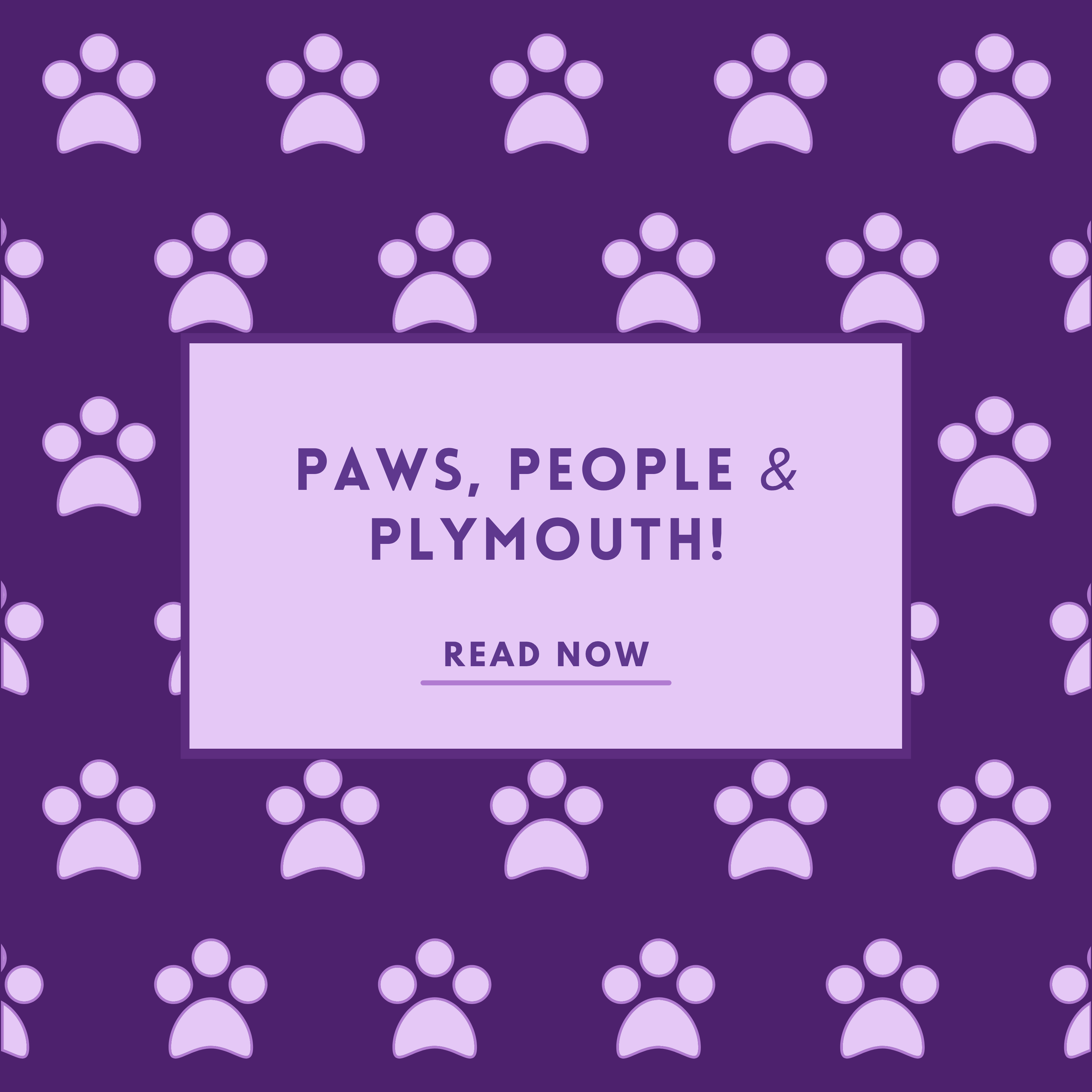 Paws, People &amp; Plymouth!