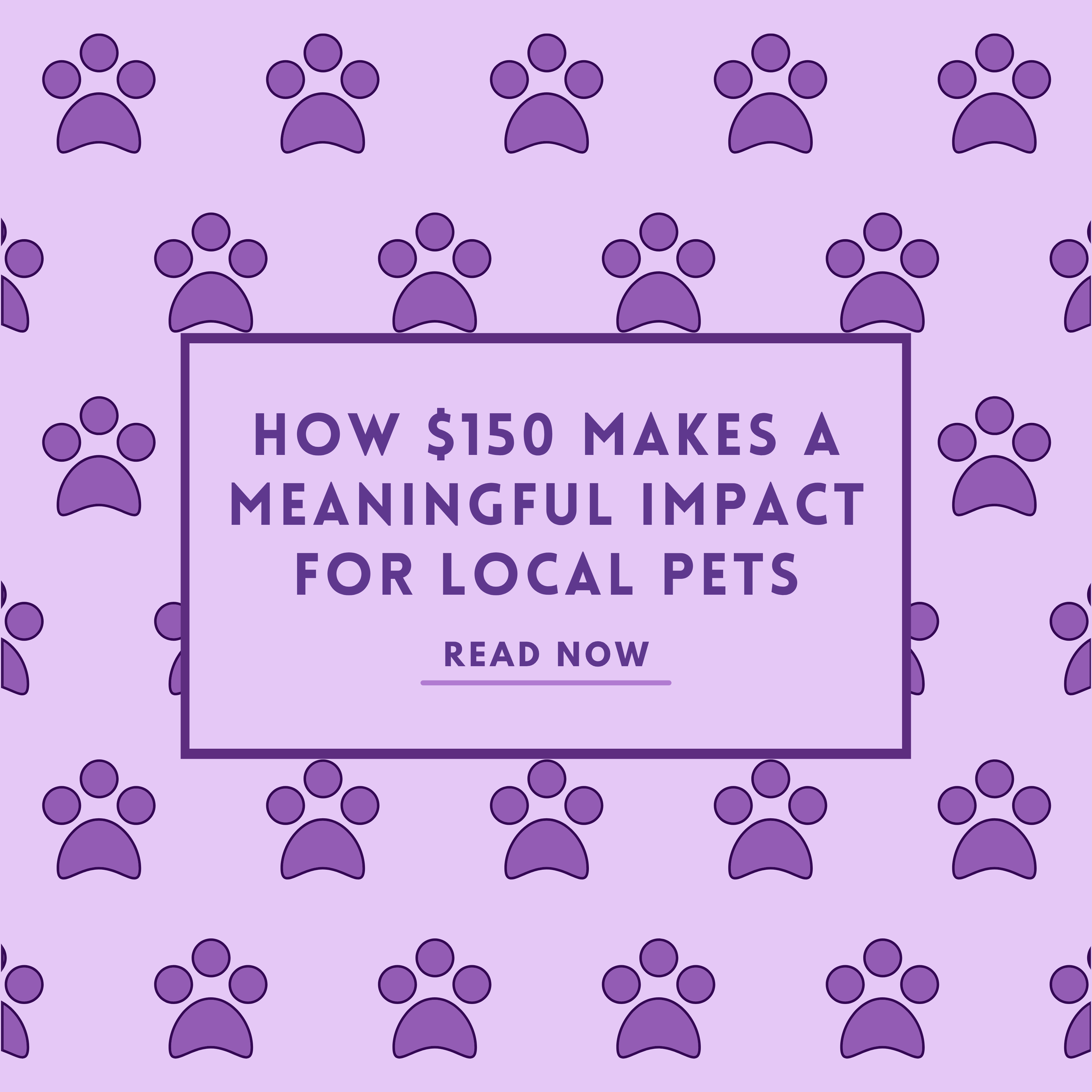 How $150 Makes A Meaningful Impact For Local Pets