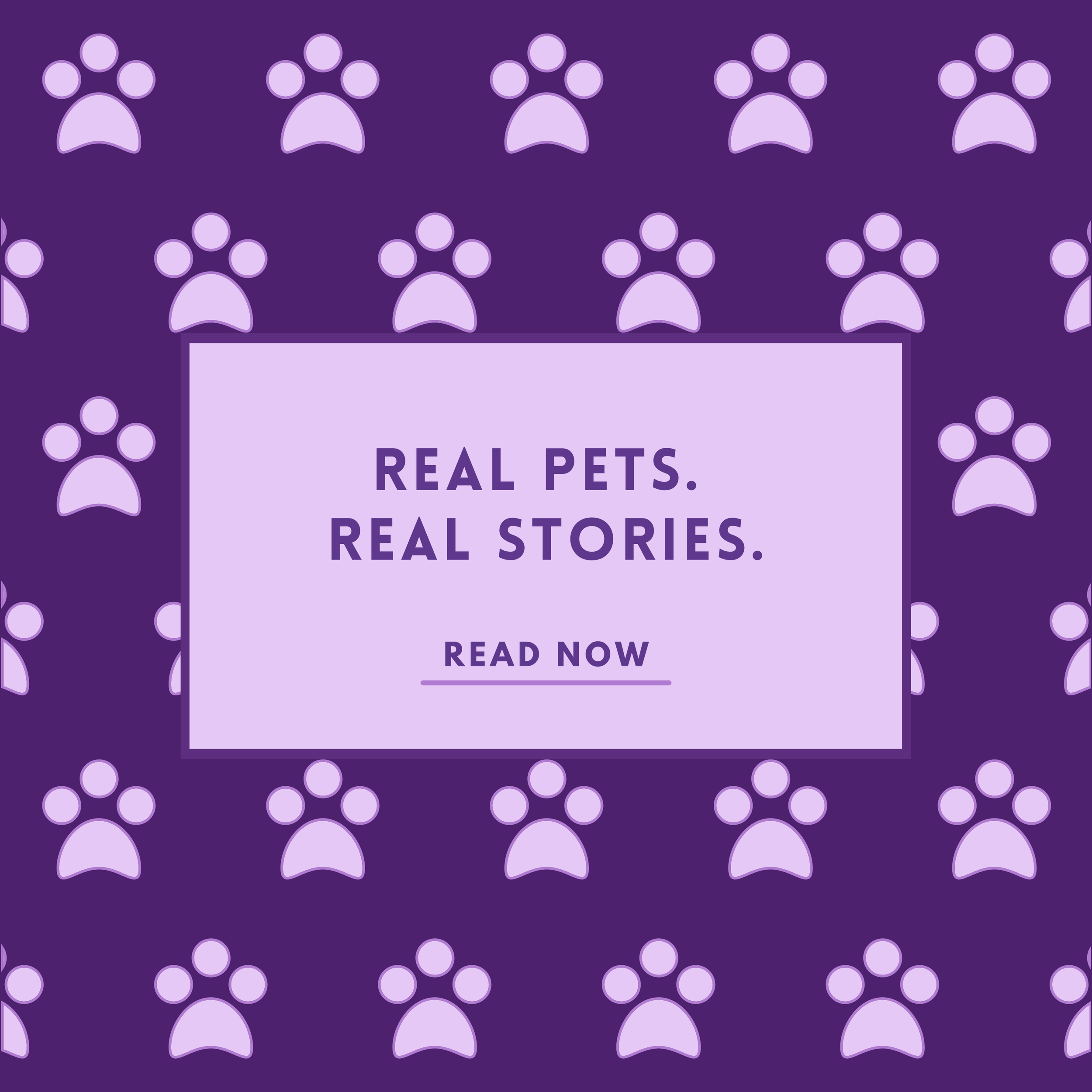 Real Pets. Real Stories.