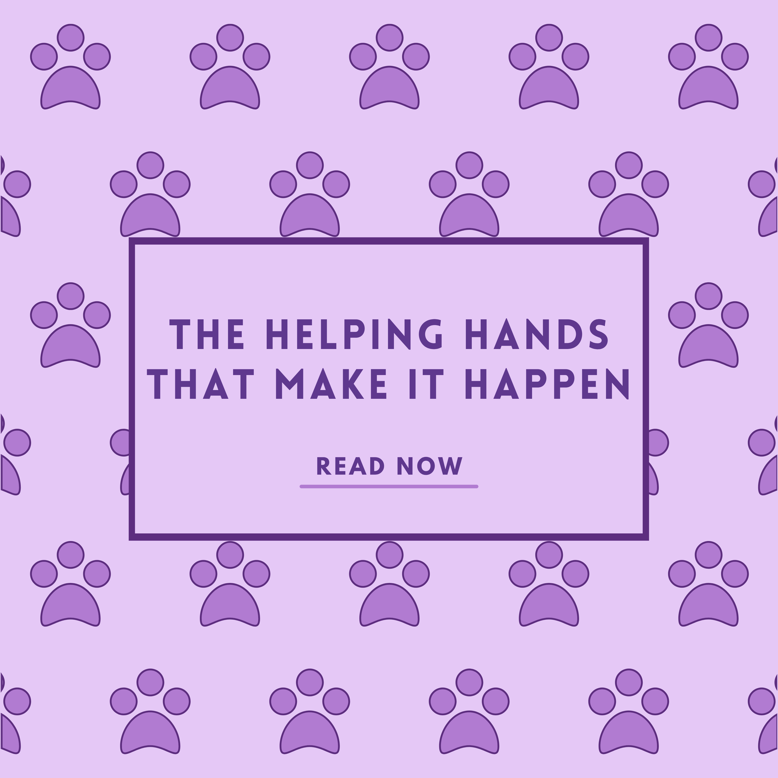 The Helping Hands&nbsp;That Make It Happen