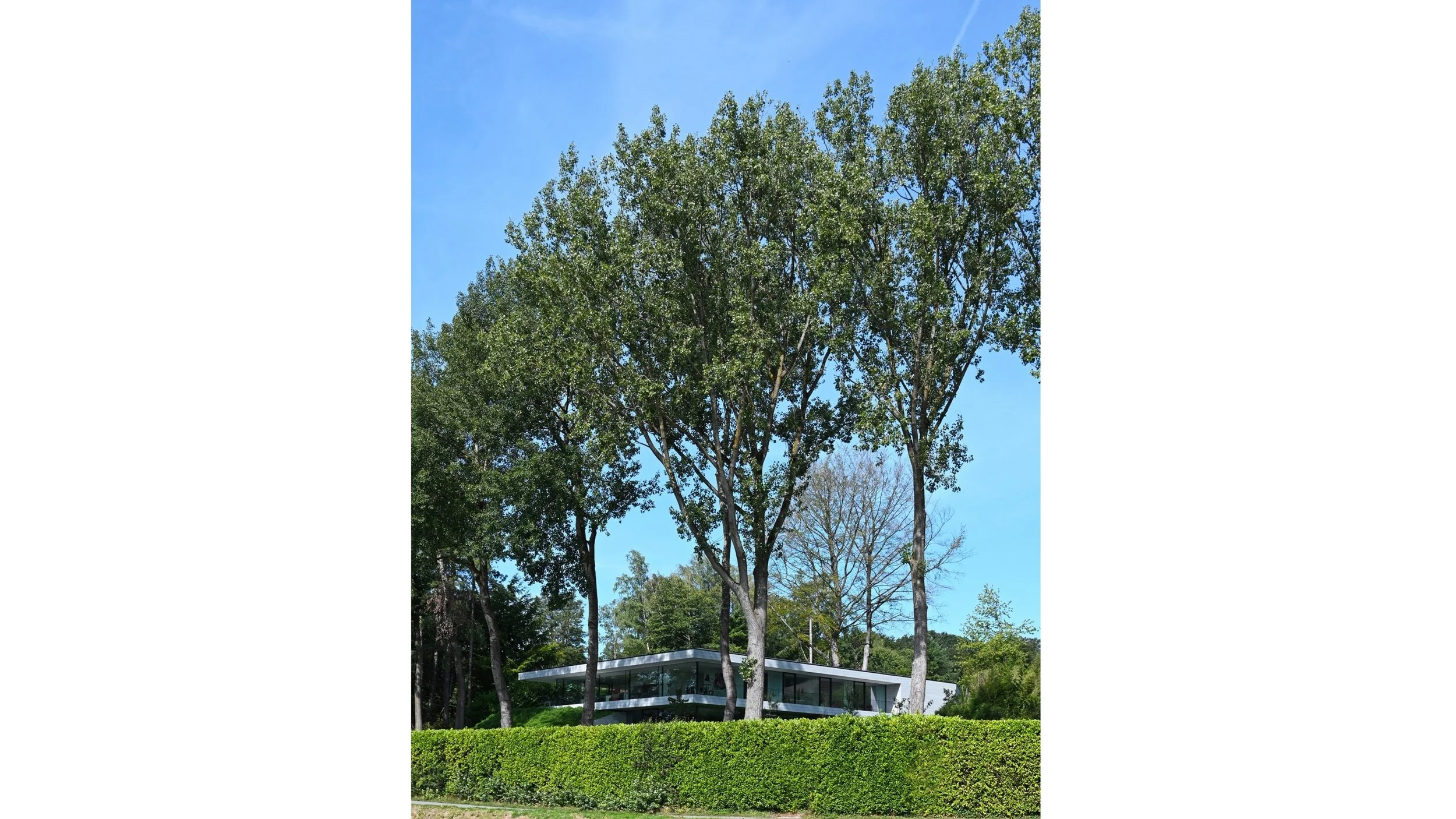 1508-MEEUS_01.jpg