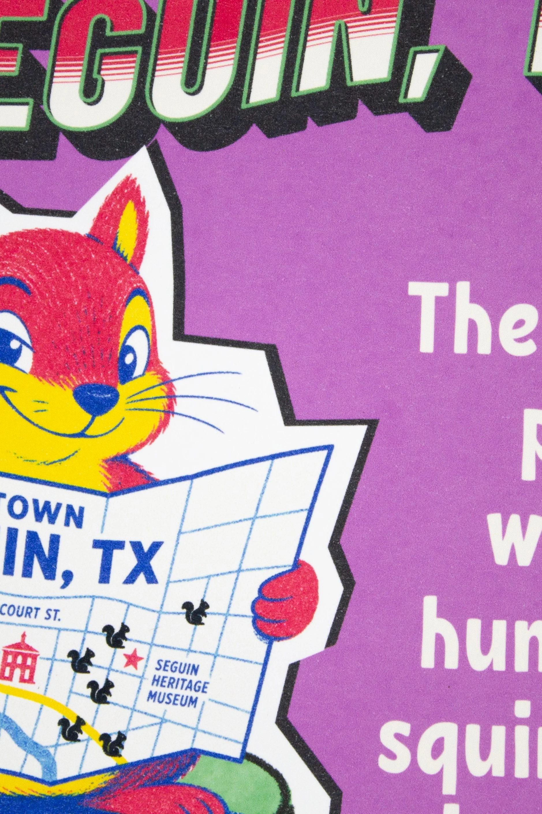 Greetings From Seguin, Texas – Local Visitor Squirrel Keepsake  | Funny Everyday Card