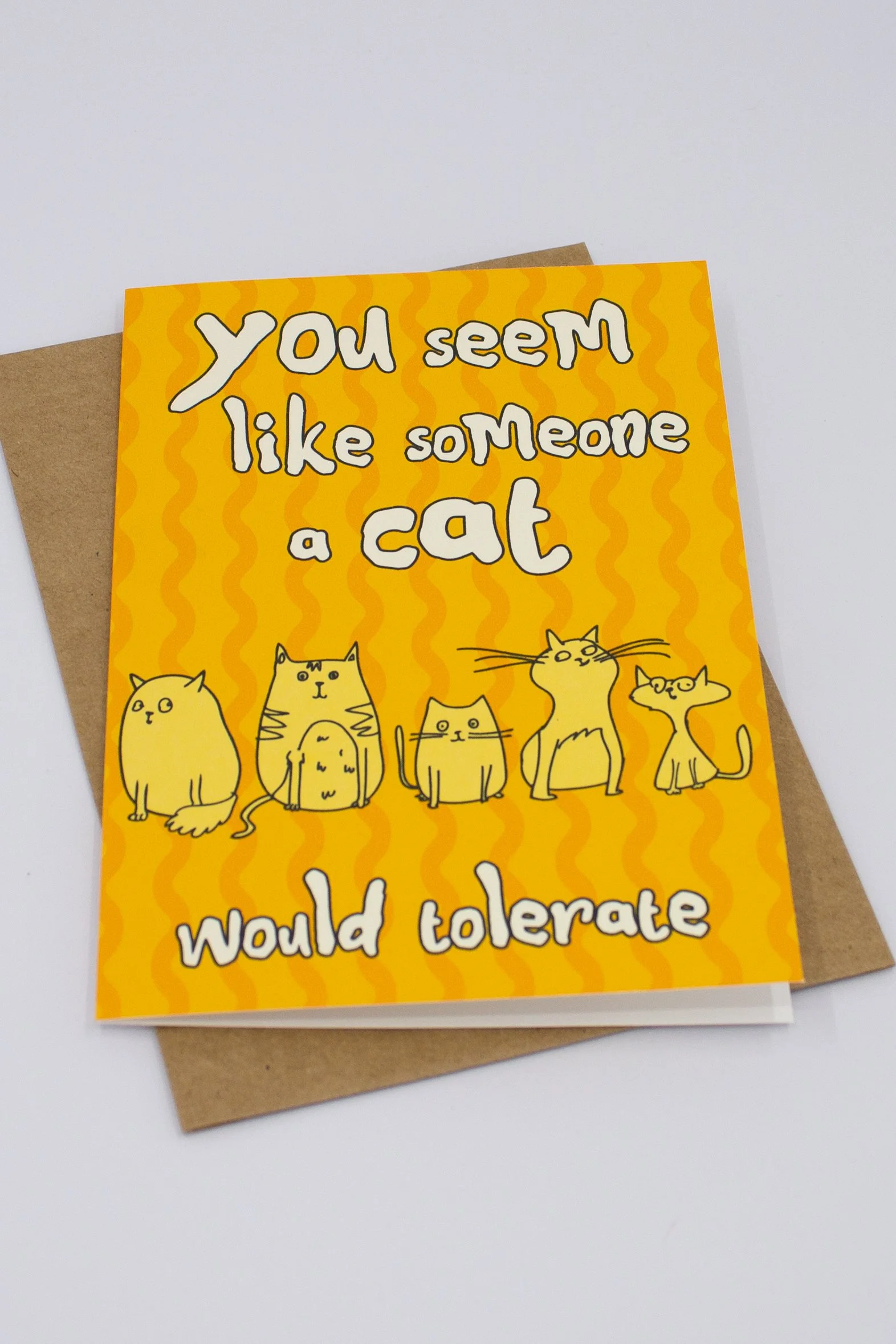 funny kitty humor card featuring cute cat line drawing illustrations, with the message "You seem like someone a cat would tolerate."