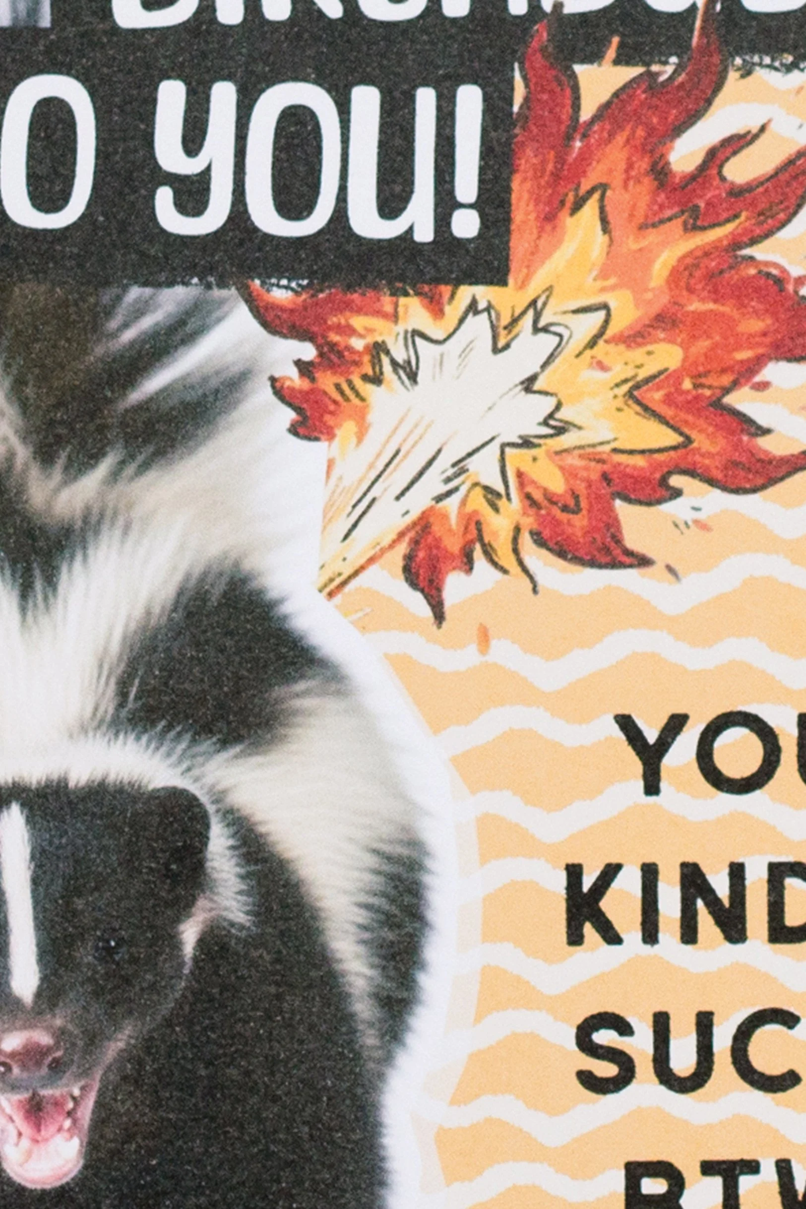 You Kinda Suck BTW - Rude Birthday Card for Best Friend | Sarcastic Fire Farting Skunk Birthday Card