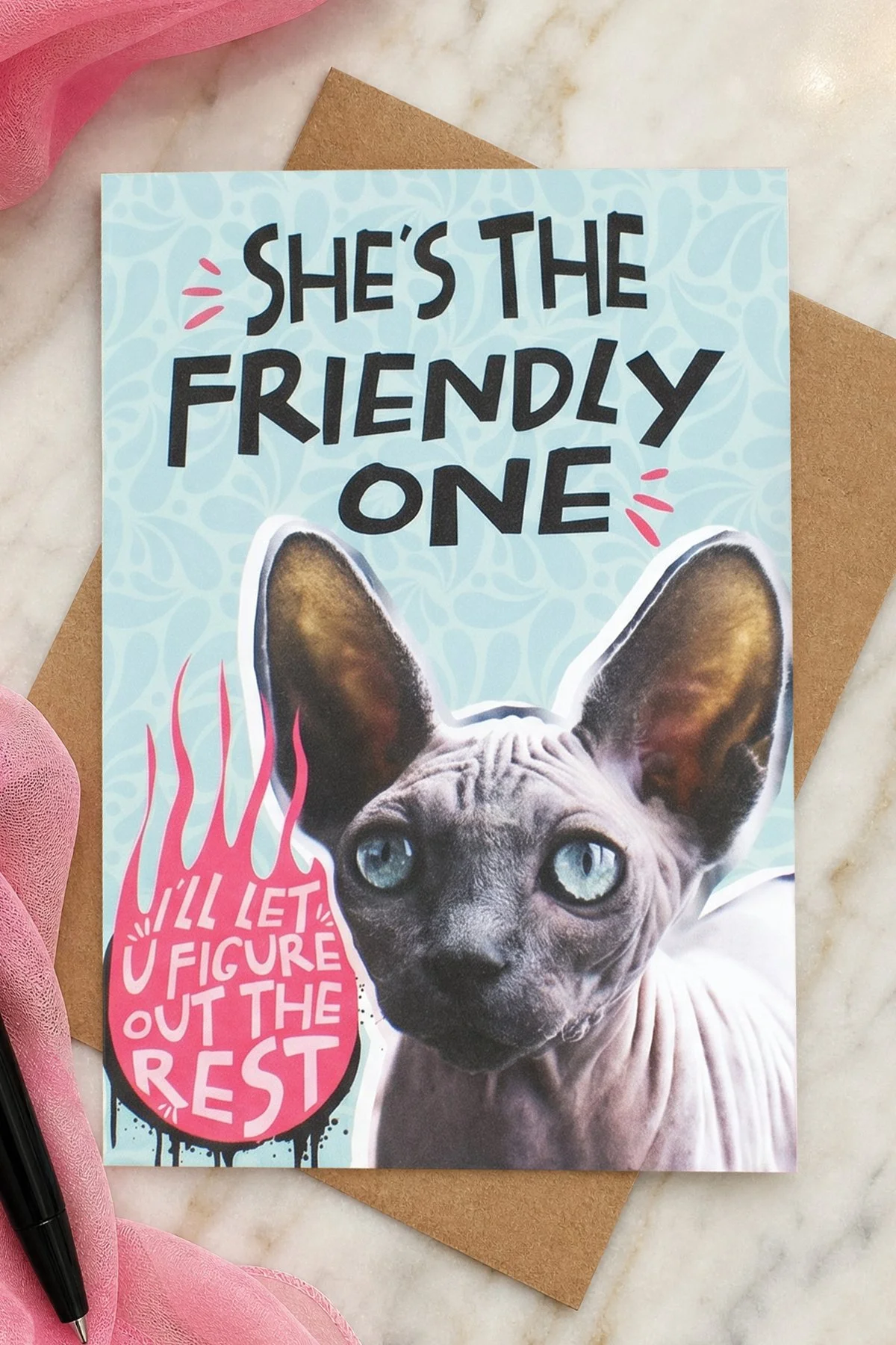This adult humor card features a hairless cat with the slightly suggestive message “She’s the friendly one… I’ll let you figure out the rest.”