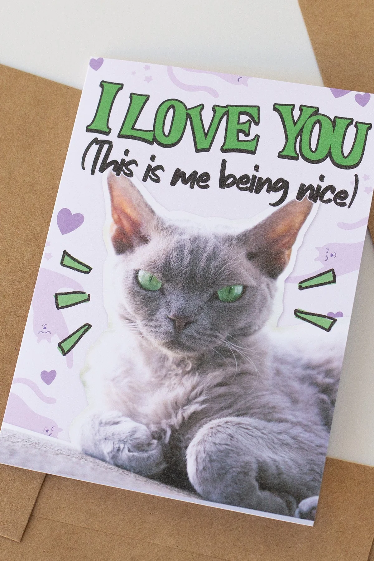 Funny 'This Is Me Nice' Everyday Love You Card - Blank Inside