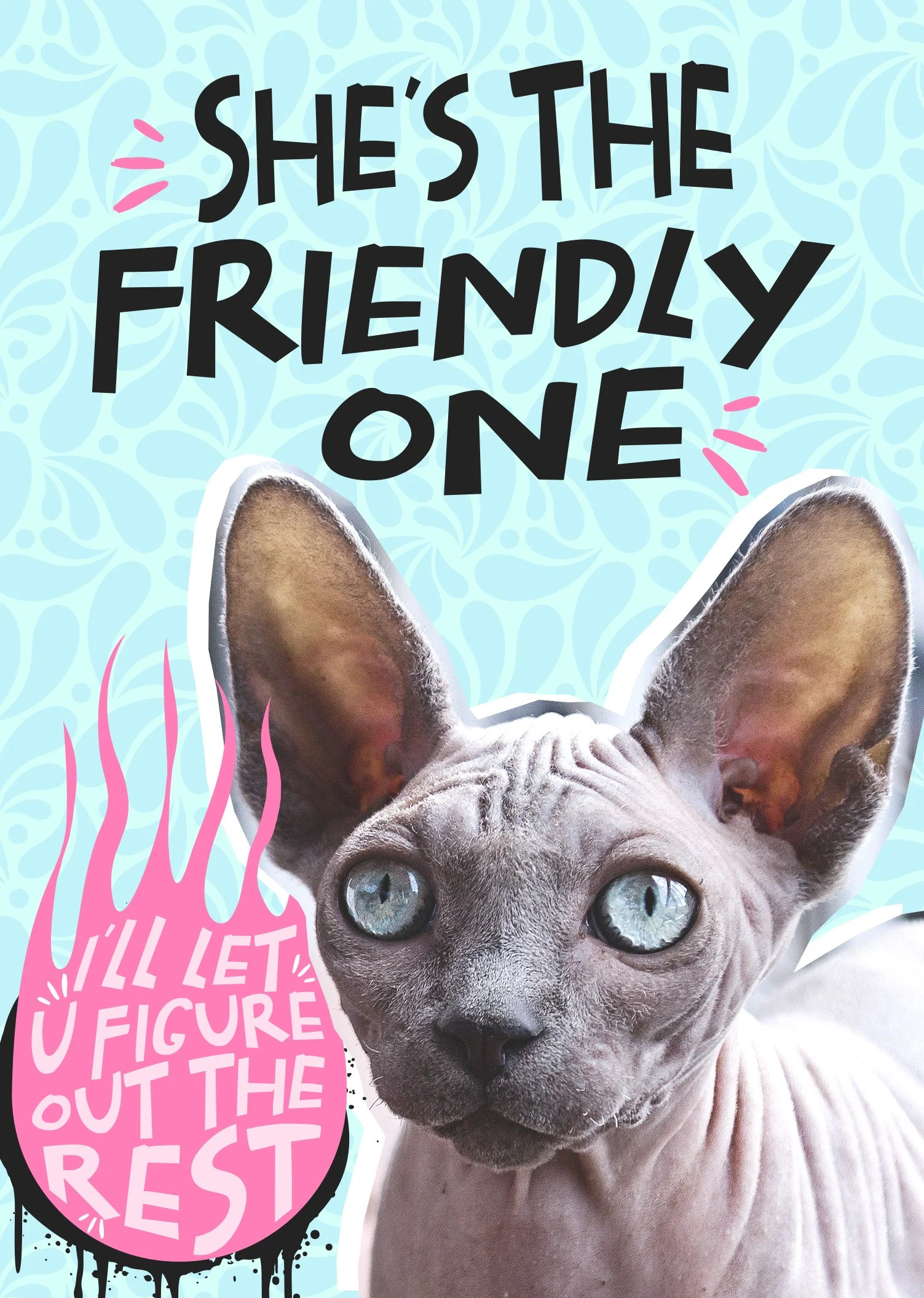 The Friendly One - 6pk