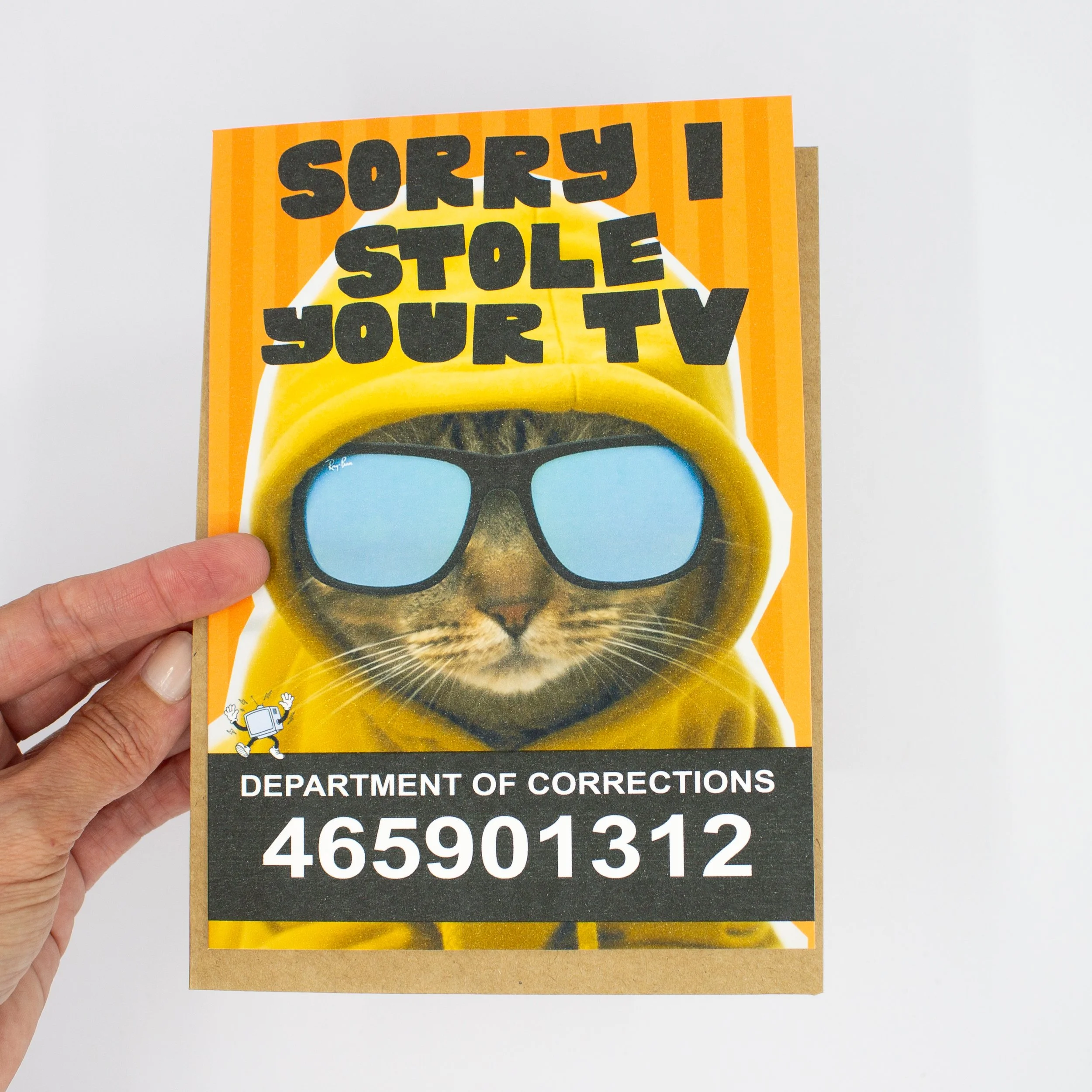 Funny recovery apology card features a cat in a hoodie in jail, "Sorry I stole your TV."
