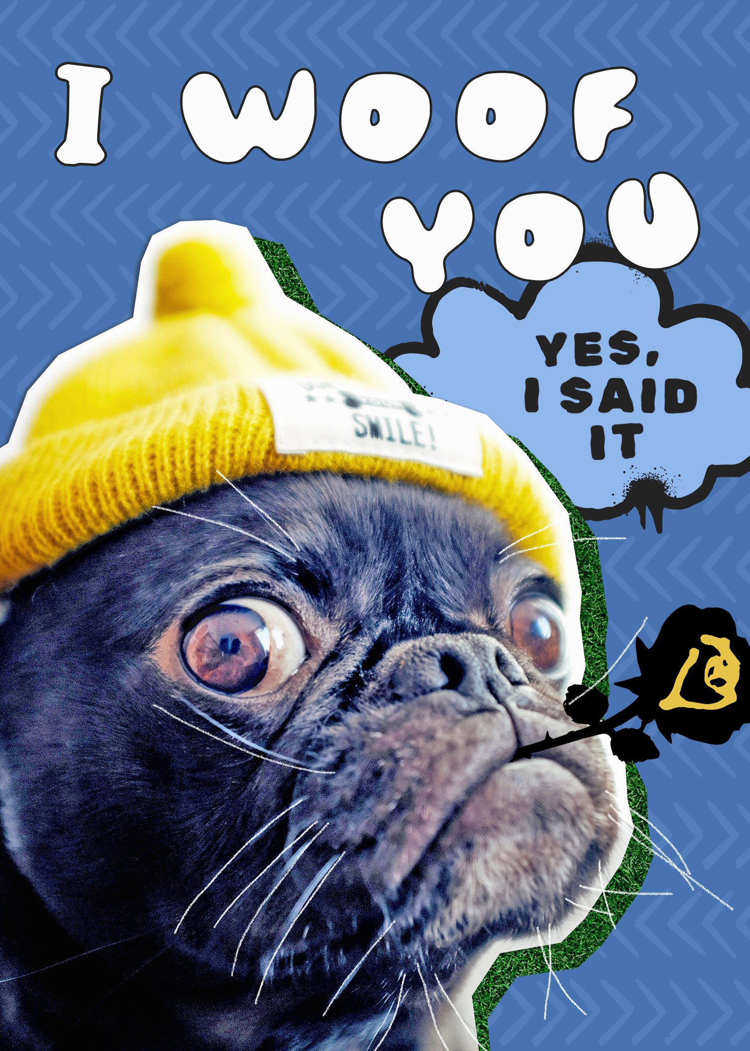 I Woof You - 6pk