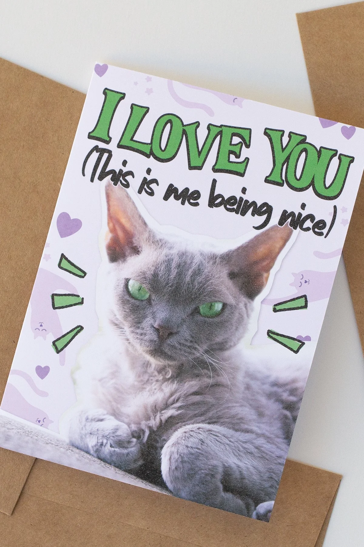 Funny 'This Is Me Nice' Everyday Love You Card - Blank Inside