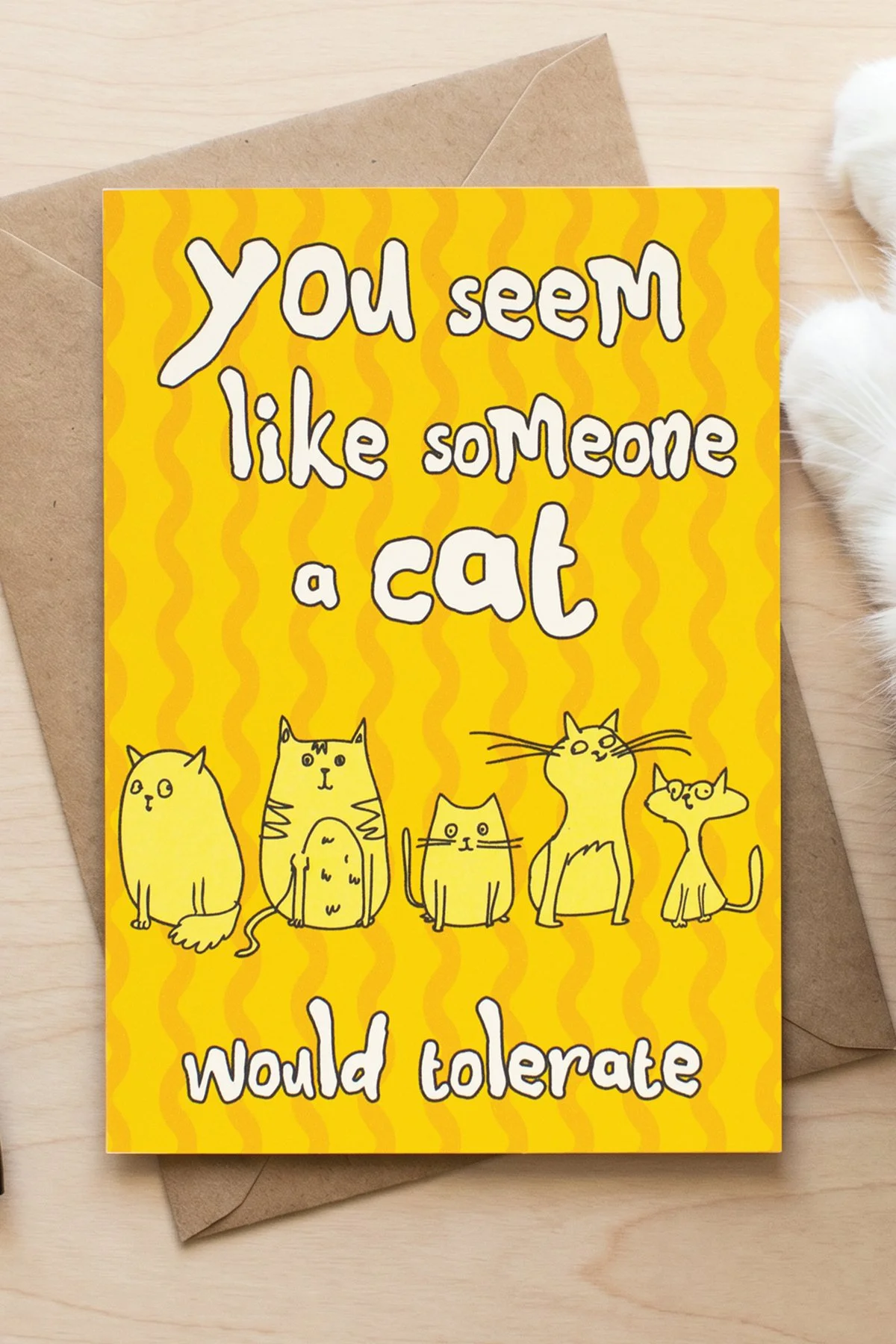 A Cat Would Tolerate