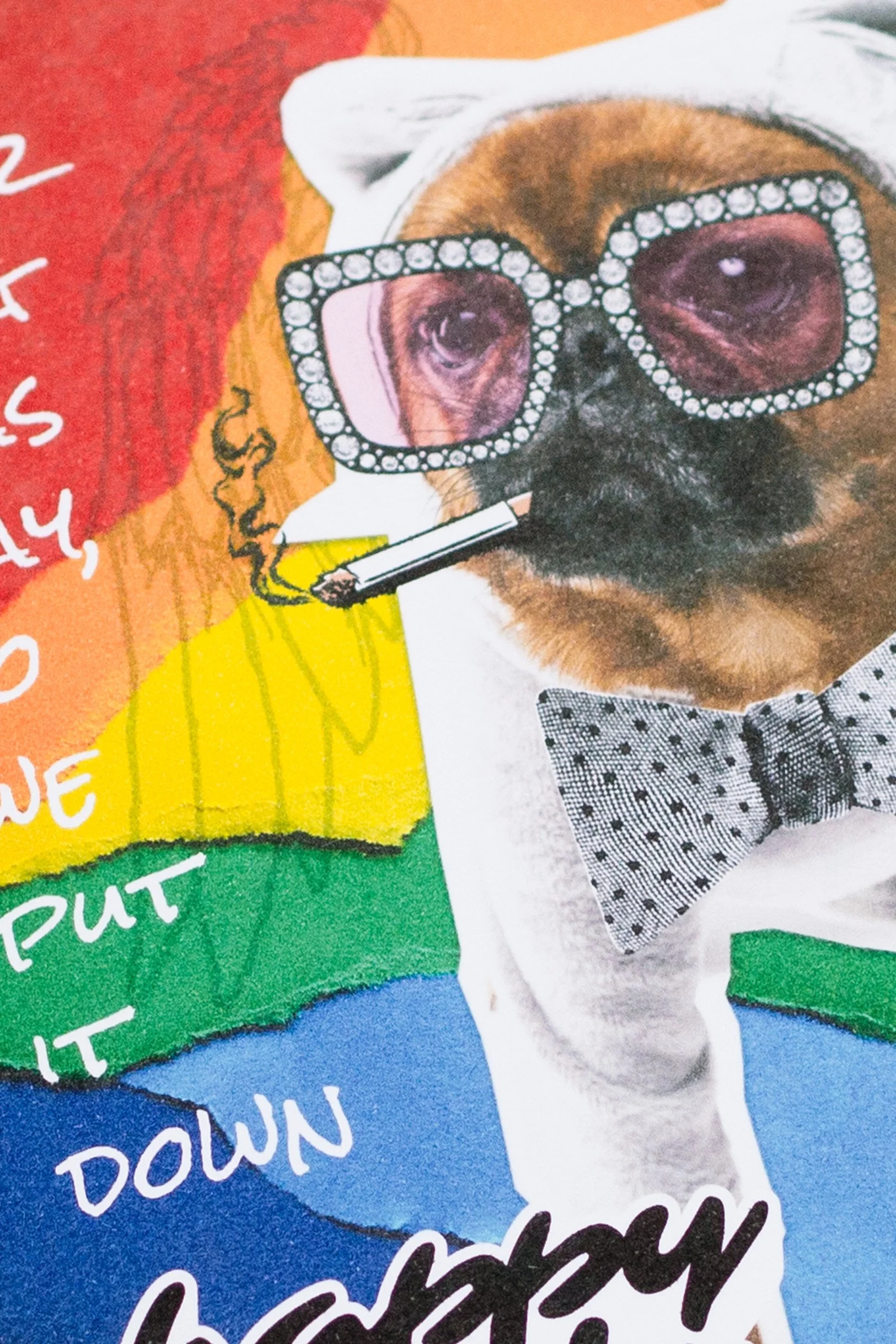 Our Dog Was Gay – Funny Pride Month Card | Sarcastic Card for Straight Men