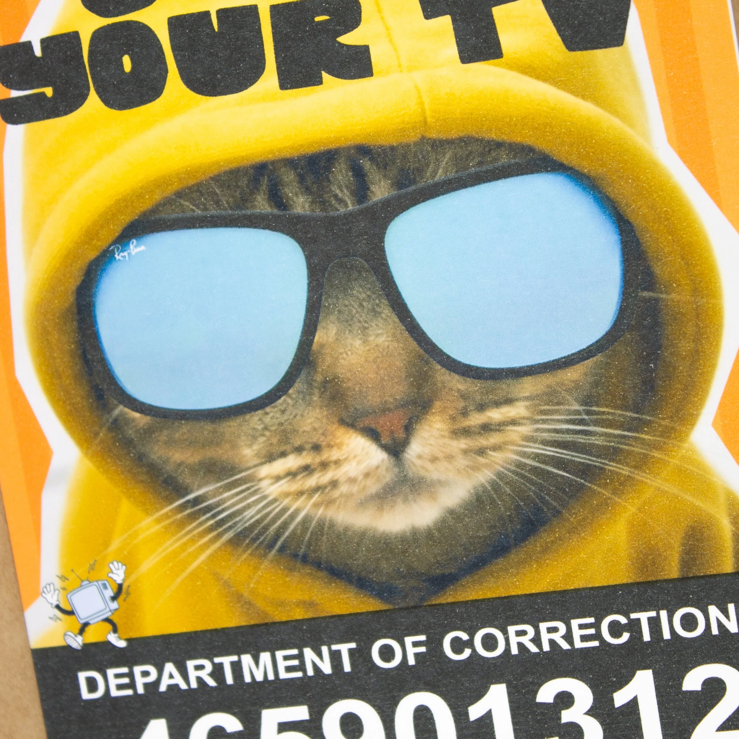Funny recovery apology card features a cat in a hoodie in jail, "Sorry I stole your TV."
