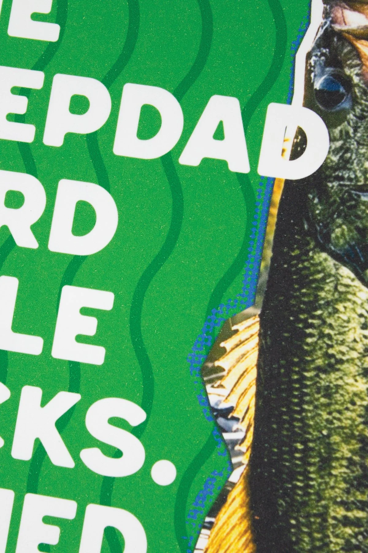 Happy Father’s Day card for bigmouth bass fisherman coastal fishing lover.