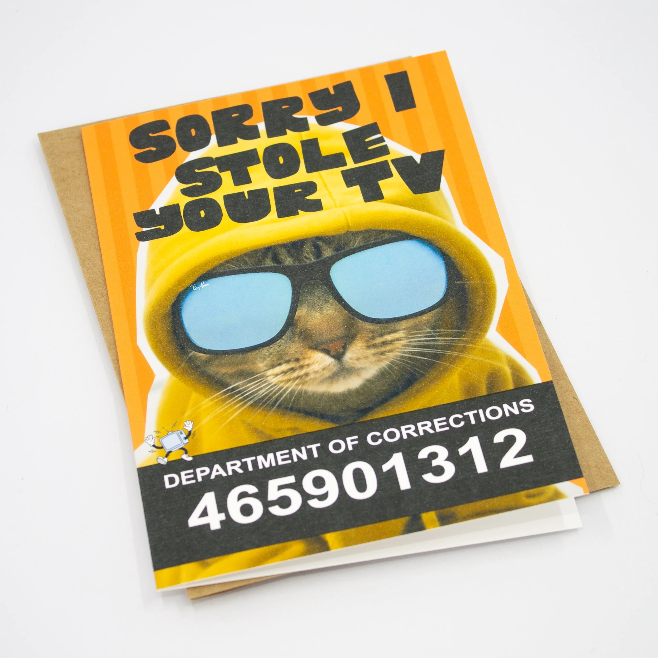 Funny recovery apology card features a cat in a hoodie in jail, "Sorry I stole your TV."