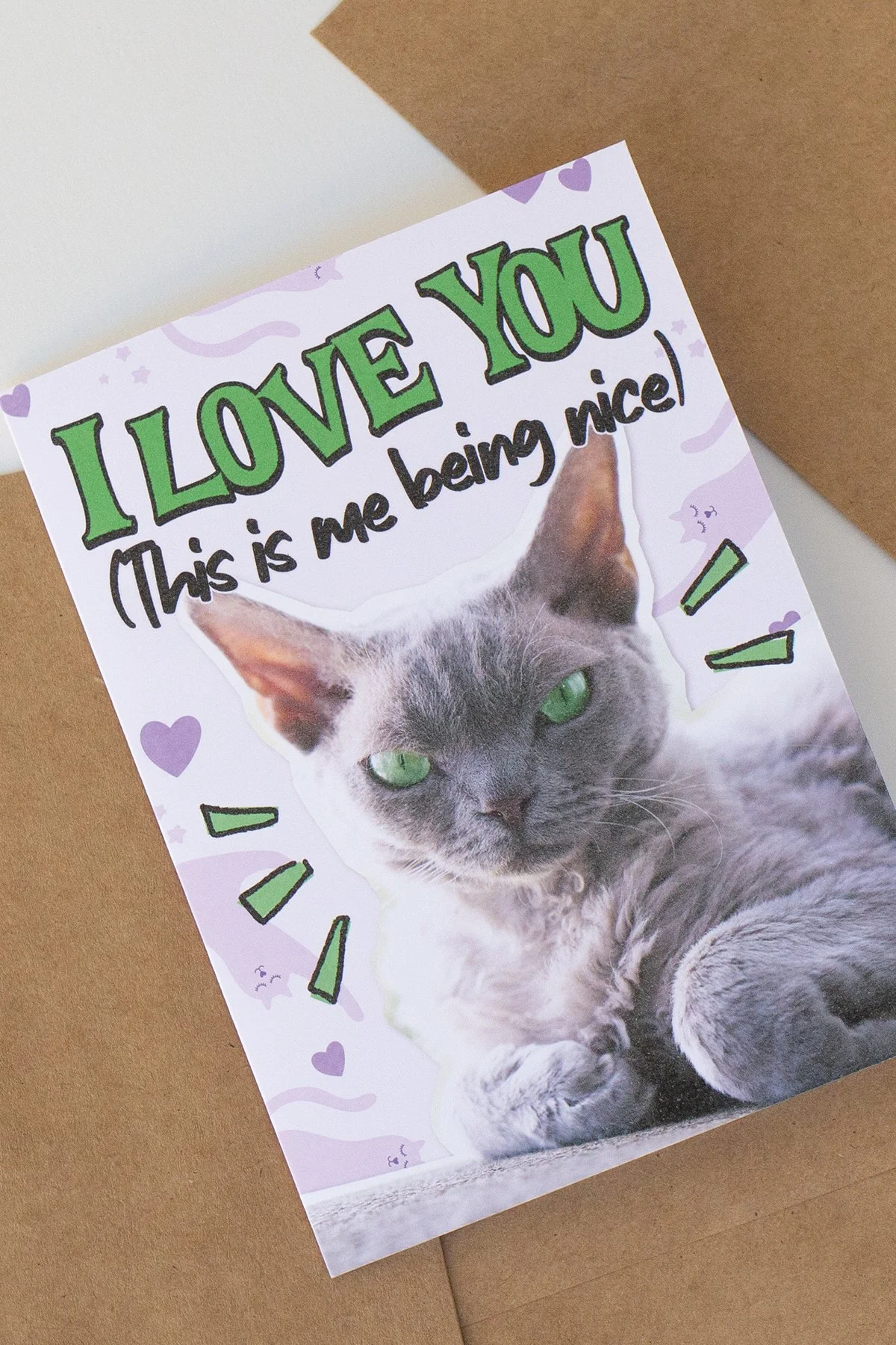 Funny 'This Is Me Nice' Everyday Love You Card - Blank Inside