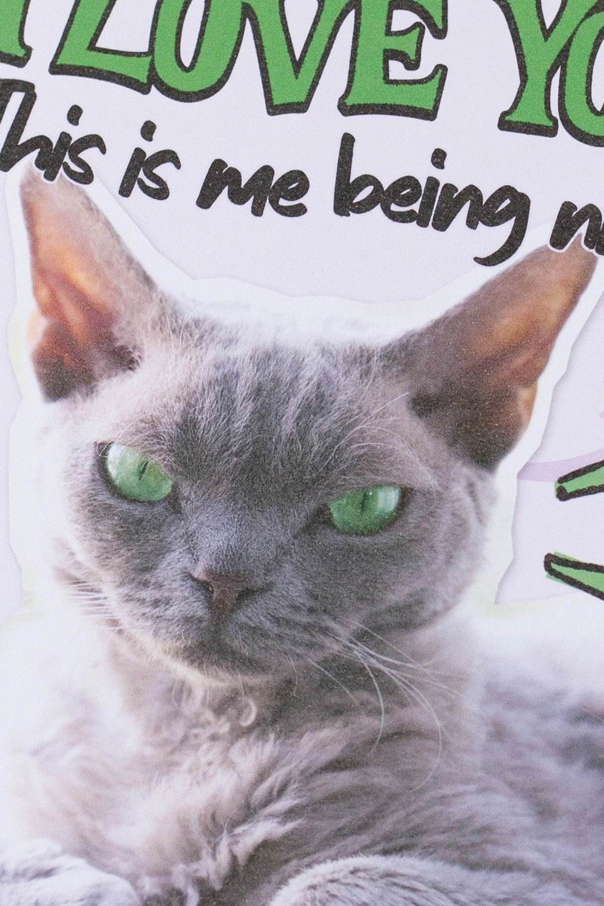 This Is Me Nice – Funny Love Card | I Love You Grumpy Cat Card
