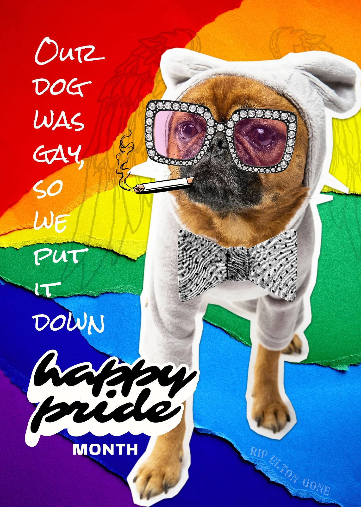 Our Dog Was Gay - 6pk