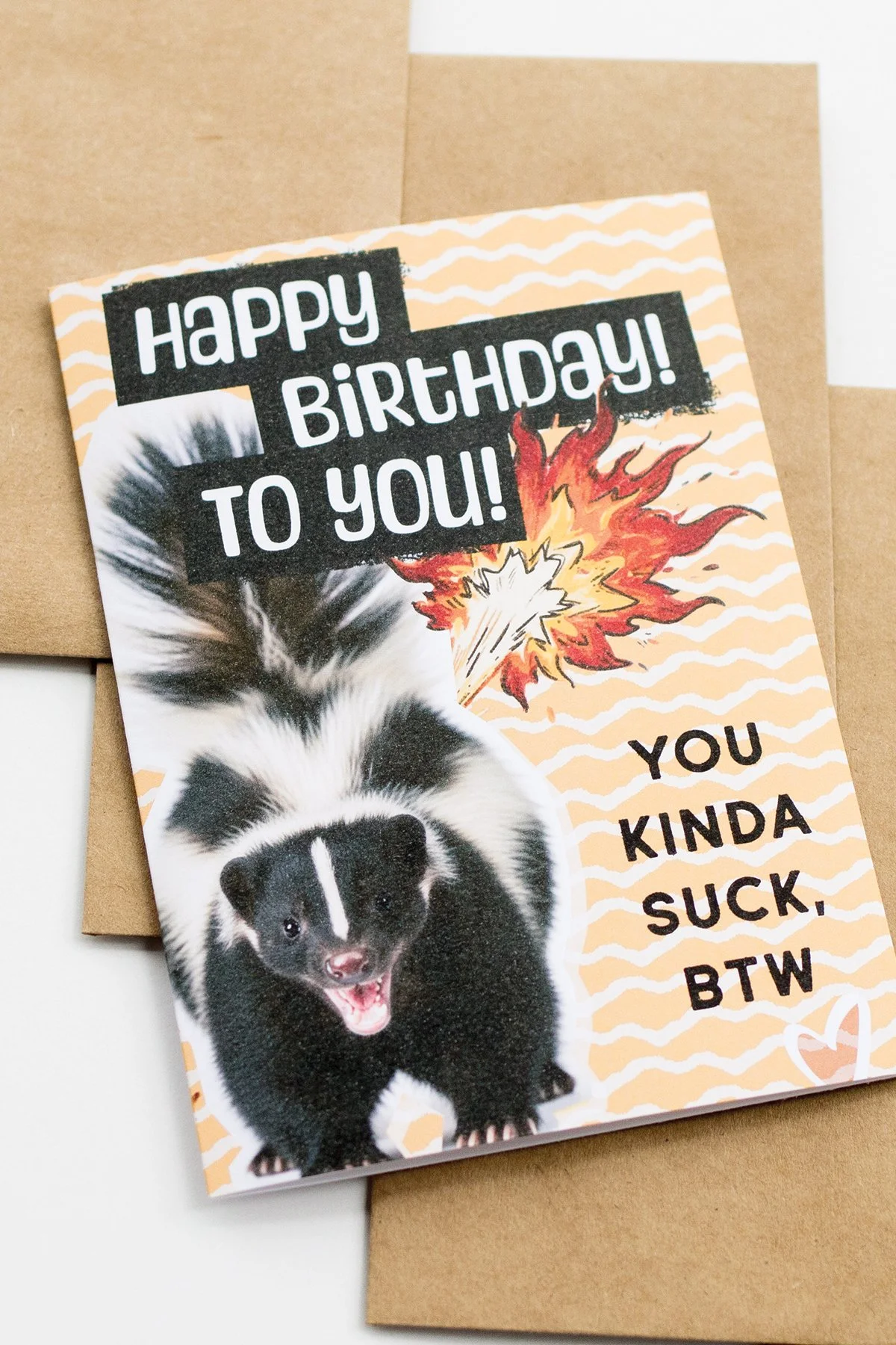 Funny 'You Kinda Suck' Birthday Card with Angry Skunk - Blank Inside