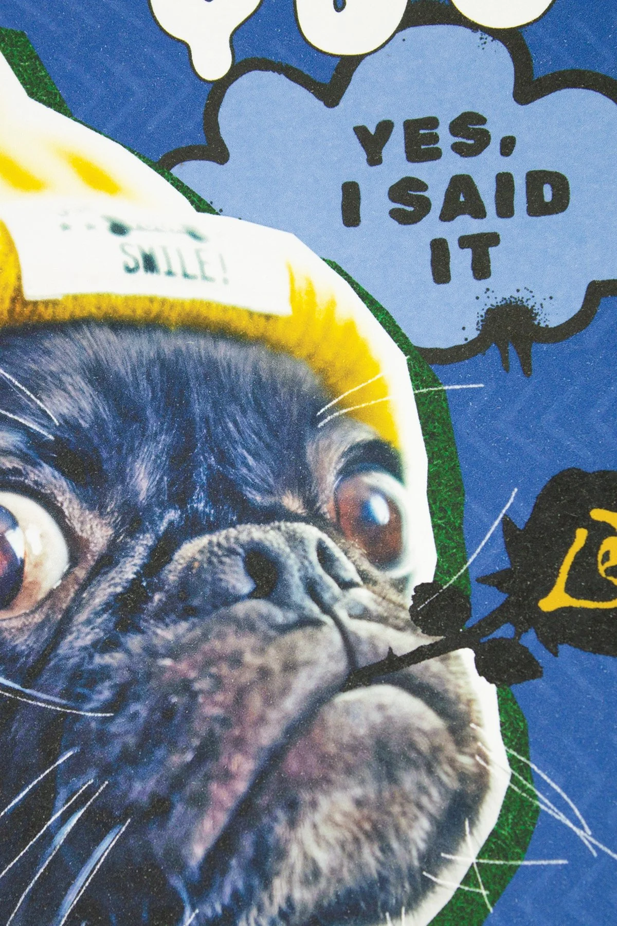 Funny bold blue dog lover greeting card is made for couples who love each other almost as much as they love their dog.