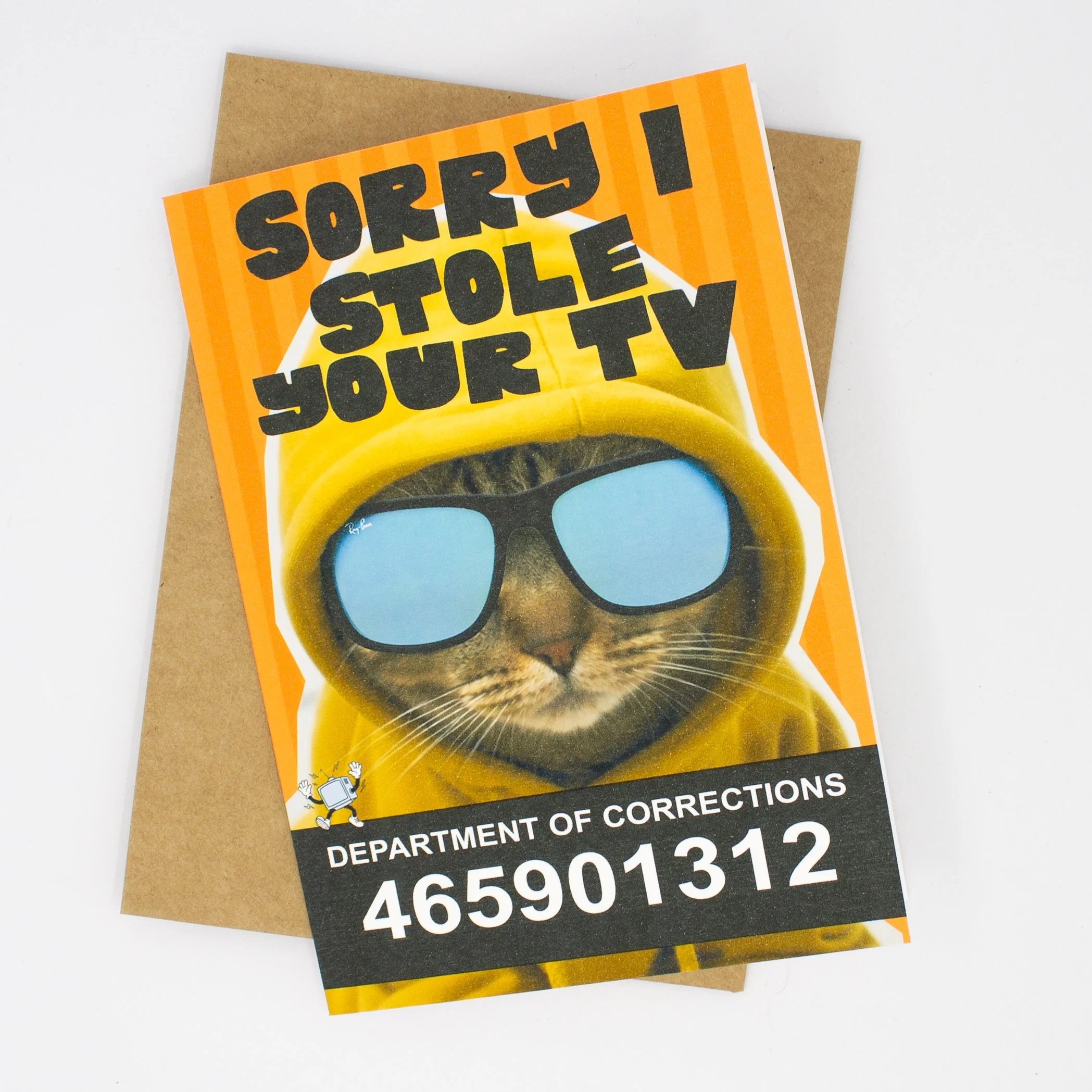 Funny recovery apology card features a cat in a hoodie in jail, "Sorry I stole your TV."