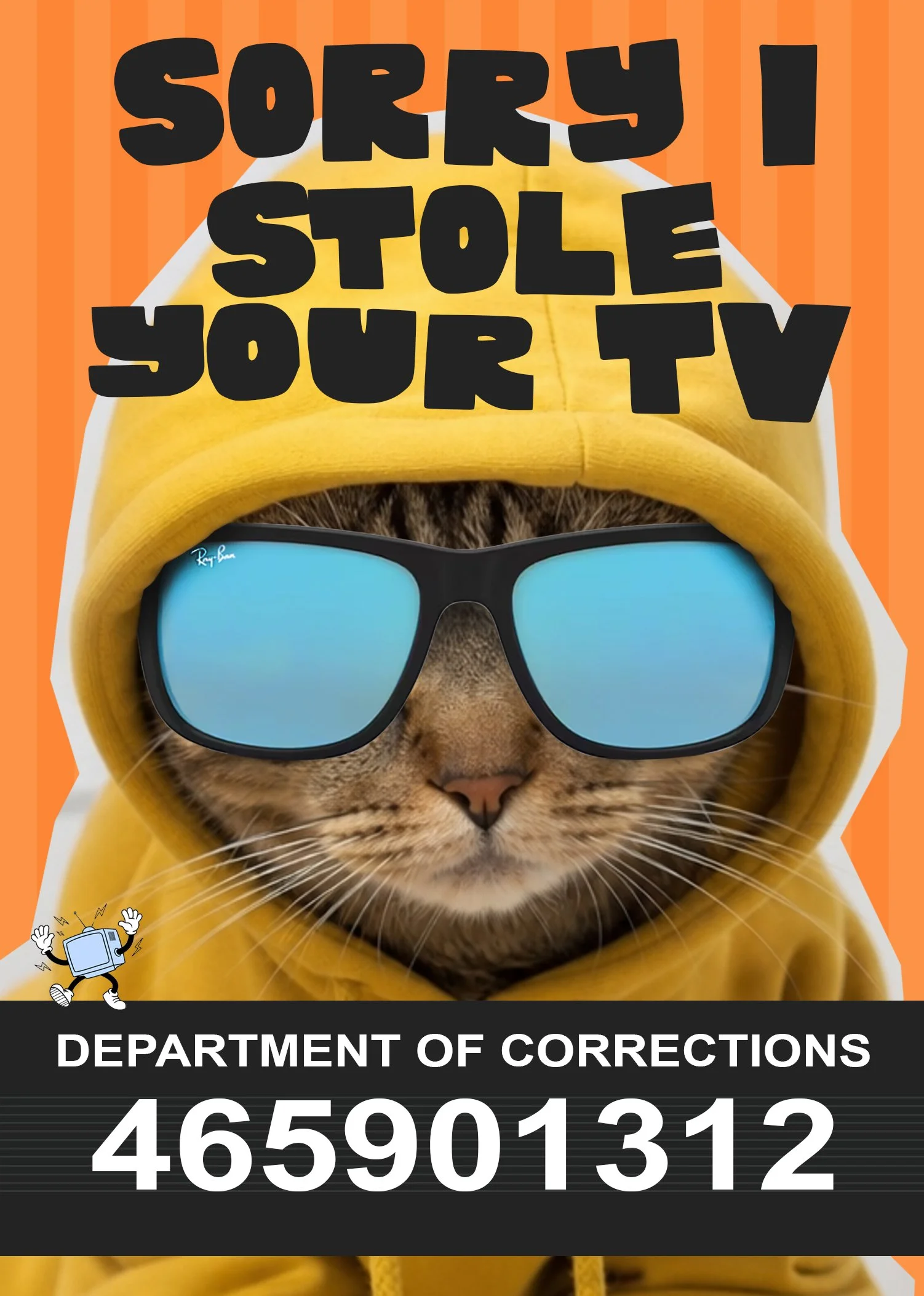 Stole Your TV - 6pk