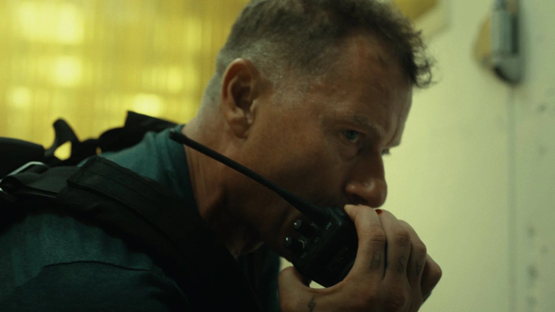 King Ivory Color References-15.jpg