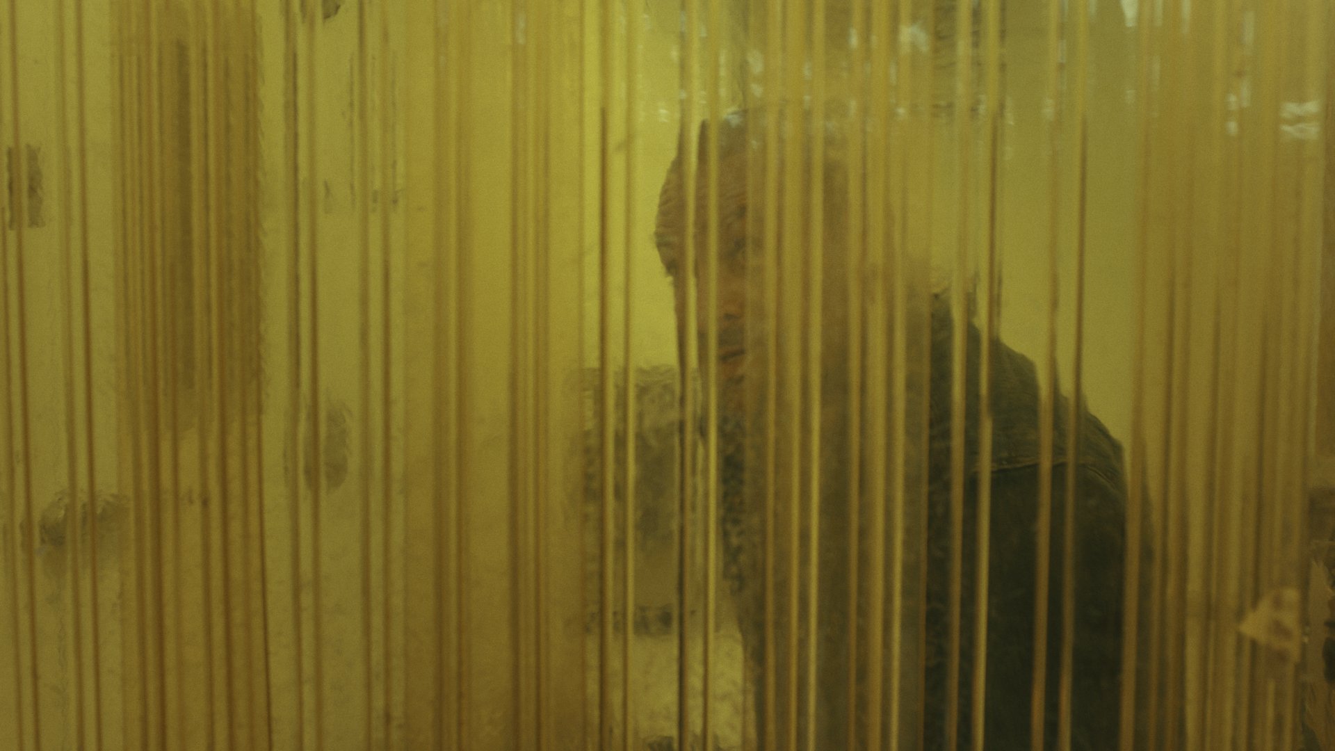 King Ivory Color References-18.jpg